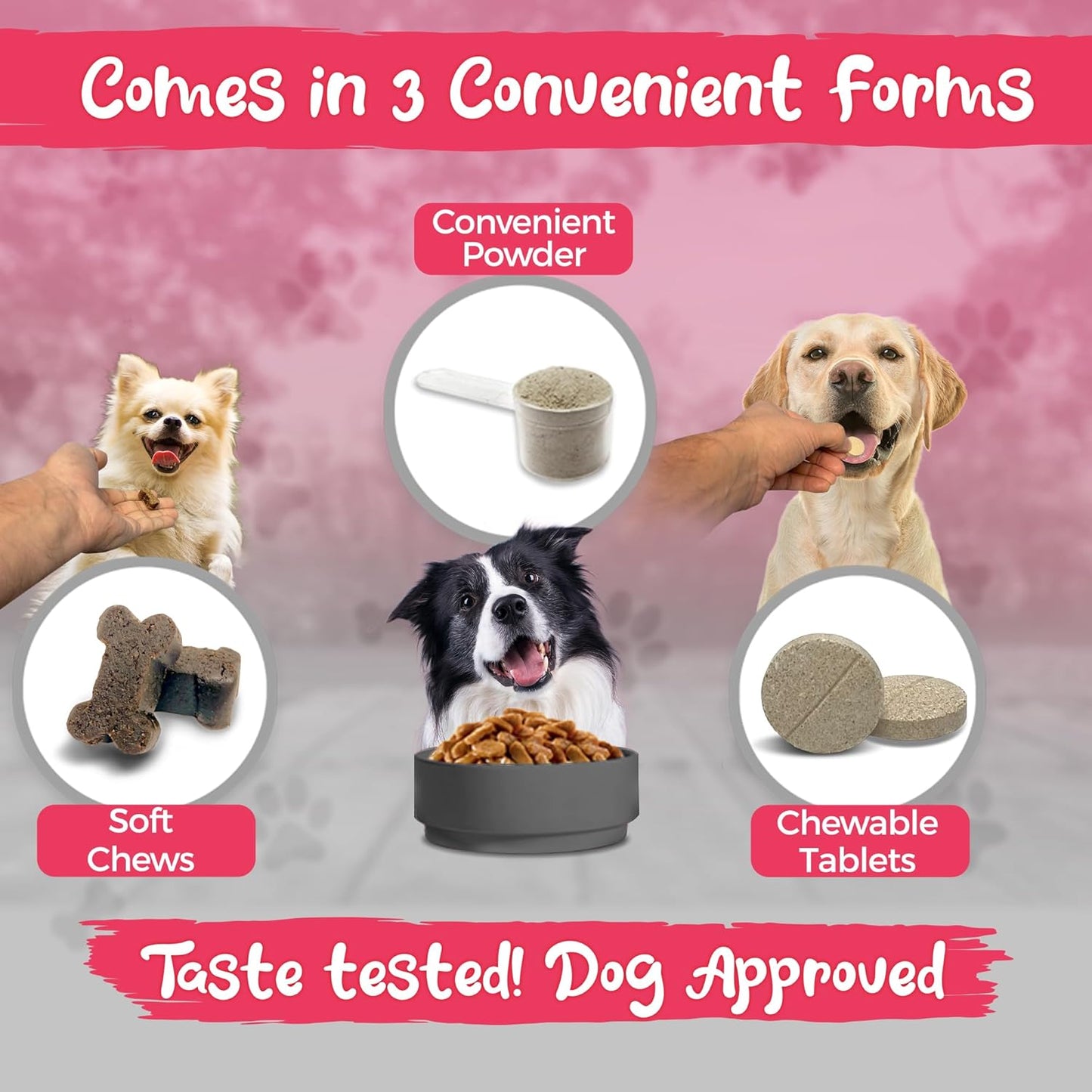 Vital Planet Vital Dog Multi Vitamin Chewable Tablet Supplement with Beef Flavor - 30 Tablets for Everyday Health