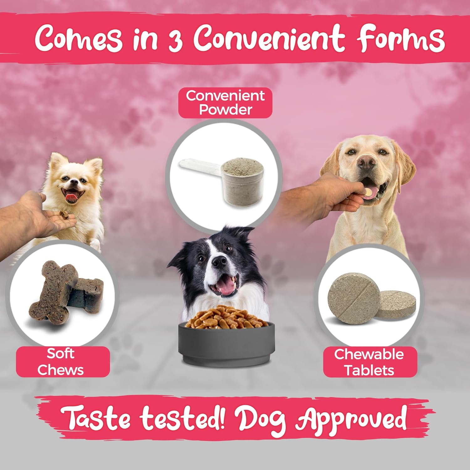 Vital Planet Vital Dog Multi Vitamin Chewable Tablet Supplement with Beef Flavor - 30 Tablets for Everyday Health