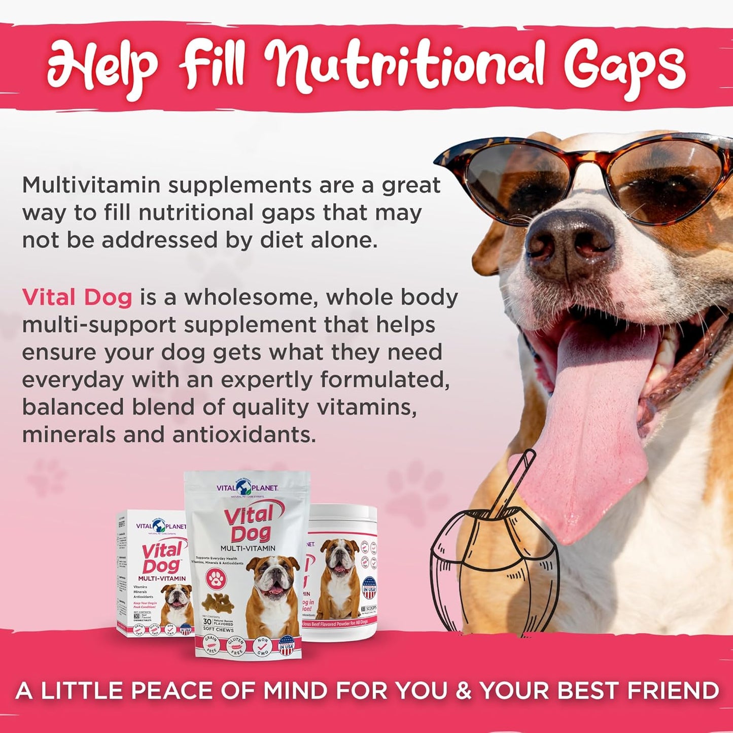 Vital Planet Vital Dog Multi Vitamin Chewable Tablet Supplement with Beef Flavor - 30 Tablets for Everyday Health
