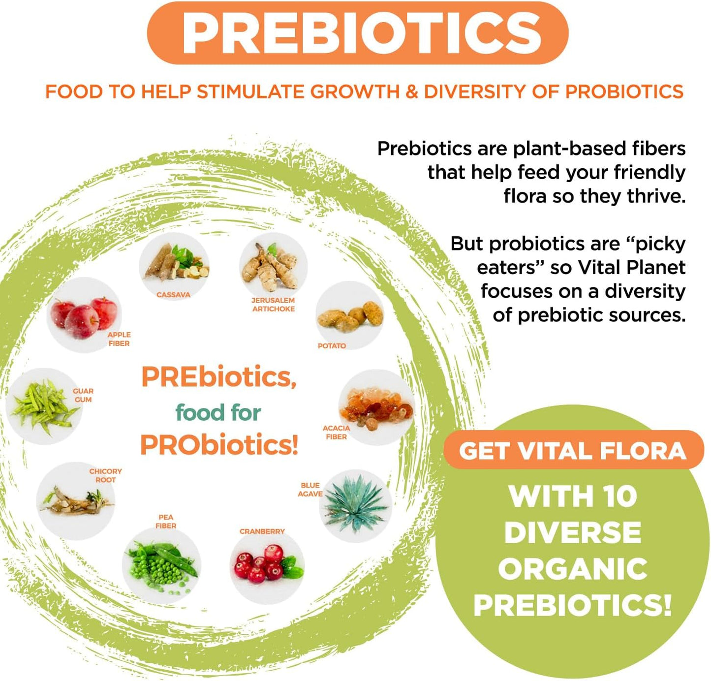Vital Planet Vital Flora Advanced Probiotic: 100 Billion CFU, 100 Strains, 10 Prebiotics, Immune & Digestive Support, Shelf Stable - 30 Capsules