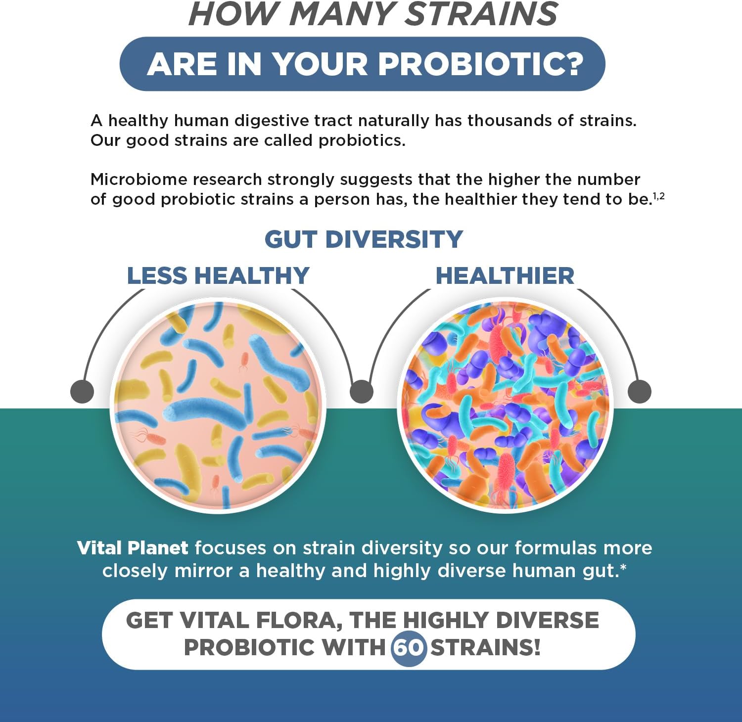 Vital Planet Vital Flora Men 55+ Probiotic - 60 Billion CFU, 60 Strains, 7 Prebiotics - Immune & Digestive Support, Gas Relief - 30 Capsules