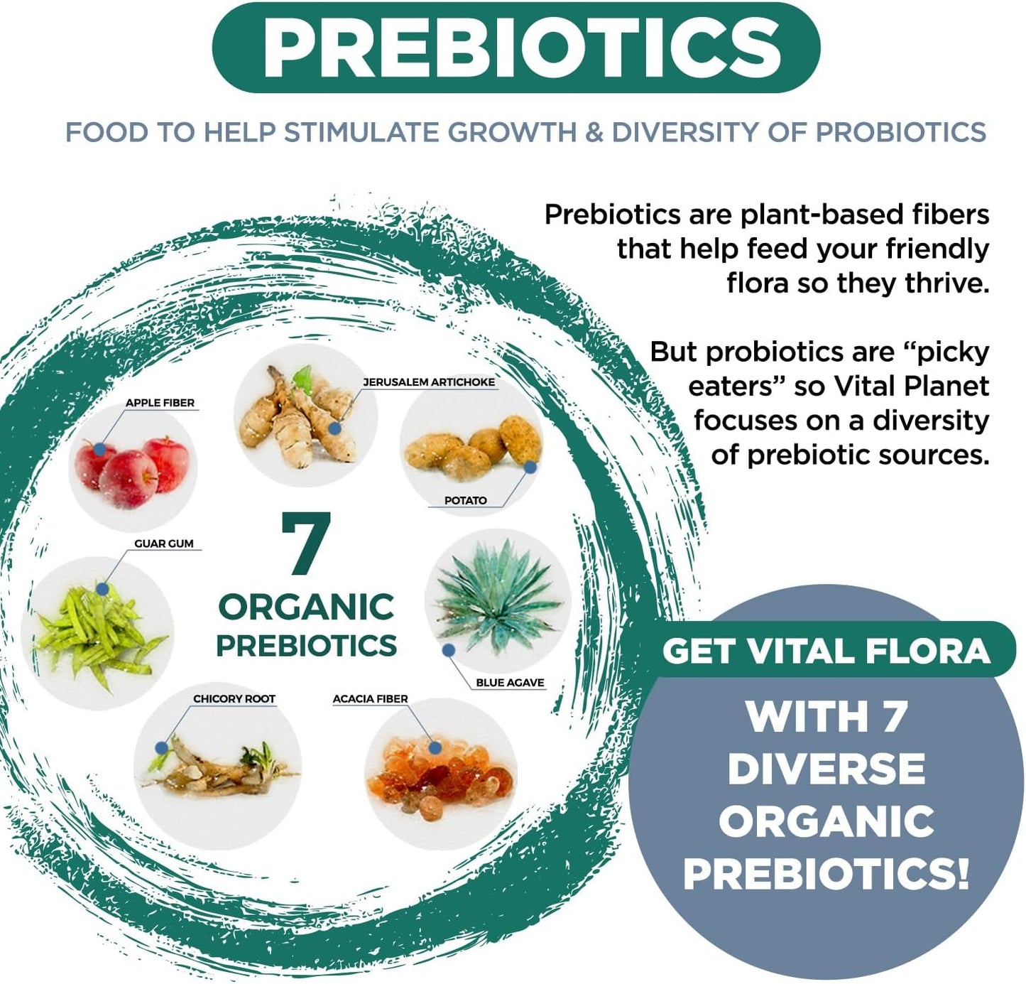 Vital Planet Vital Flora Ultra Daily Probiotic - 60 Billion CFU, 60 Strains, 7 Prebiotics - Immune & Digestive Support - 30 Capsules