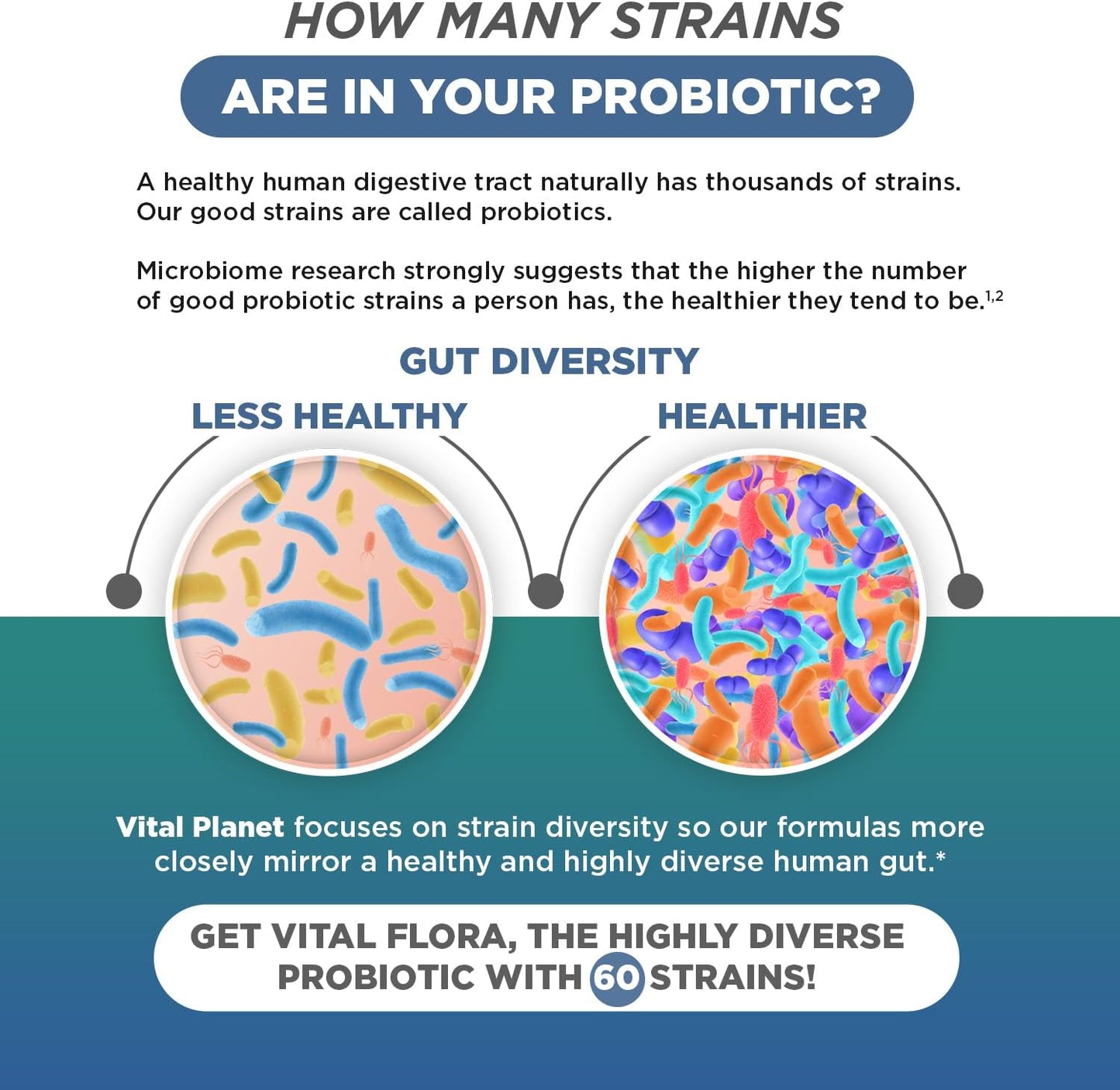 Vital Planet Vital Flora Ultra Daily Probiotic - 60 Billion CFU, 60 Strains, 7 Prebiotics - Immune & Digestive Support - 30 Capsules