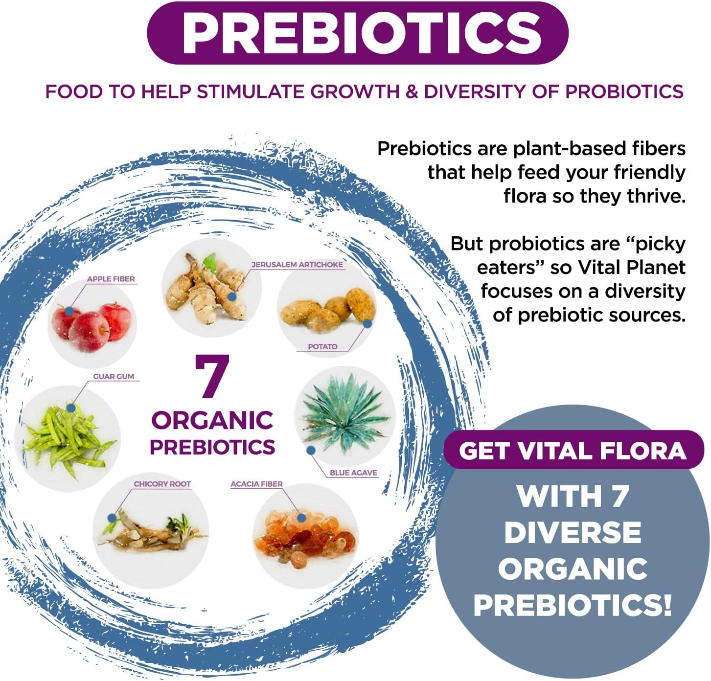 Vital Planet Women Over 55 Probiotic with 60 Billion CFU, 60 Strains, 7 Prebiotics - 30 Capsules