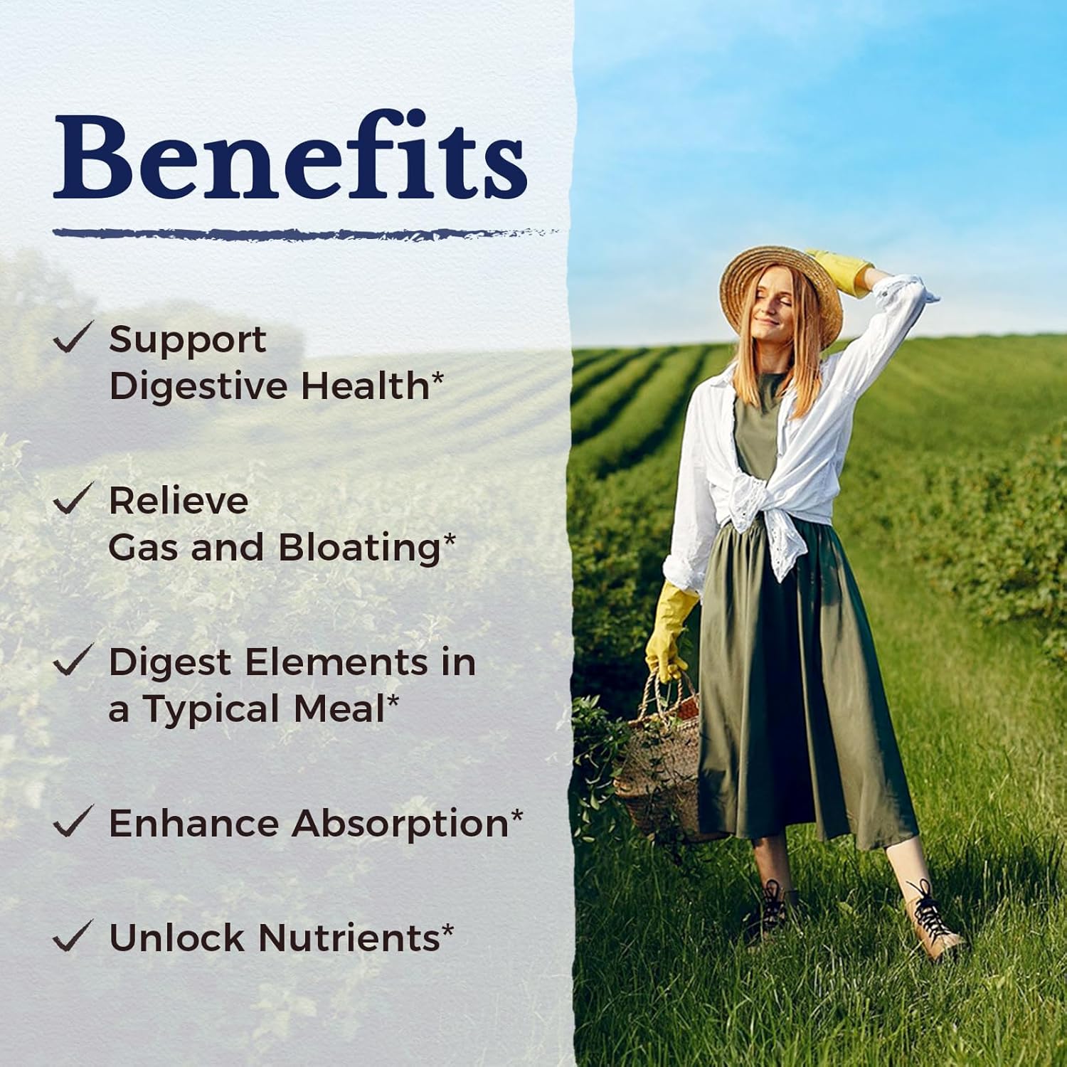 Vitalitown Digestive Enzyme Capsules with Probiotics and Prebiotics - 60 Veg Caps, 245mg - Vegan and Non-GMO Formula with Seven Key Enzymes for Improved Digestion