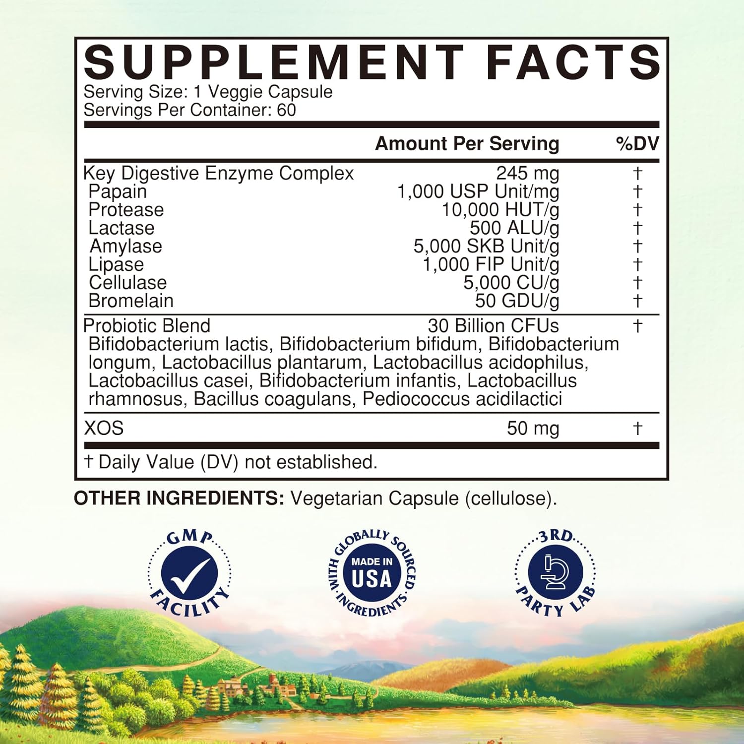 Vitalitown Digestive Enzyme Capsules with Probiotics and Prebiotics - 60 Veg Caps, 245mg - Vegan and Non-GMO Formula with Seven Key Enzymes for Improved Digestion