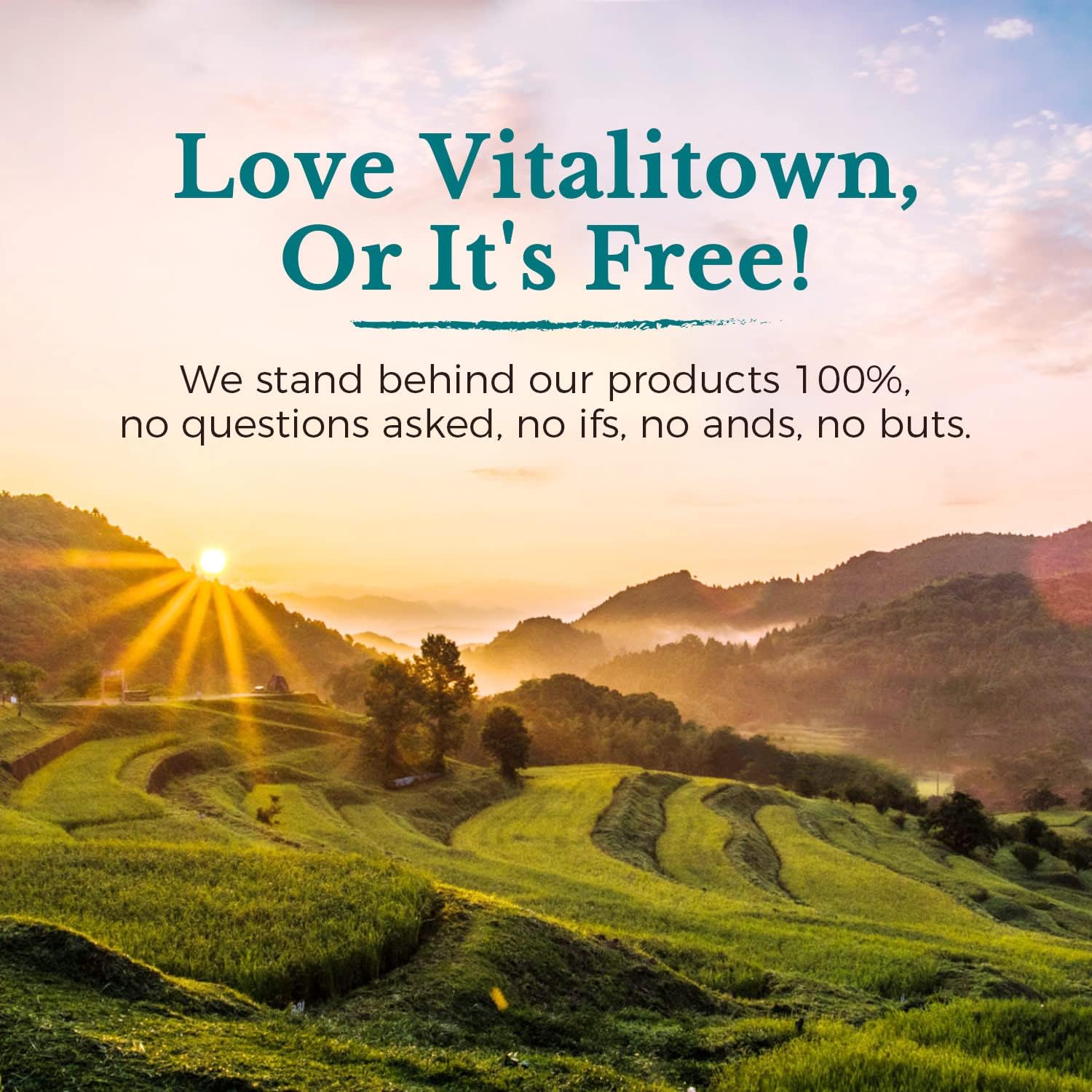 Vitalitown Probiotics 120 Billion CFUs | 36 Strains with Prebiotics & Enzymes | Digestive & Immune Support | Vegan | 60 Delayed Release Capsules