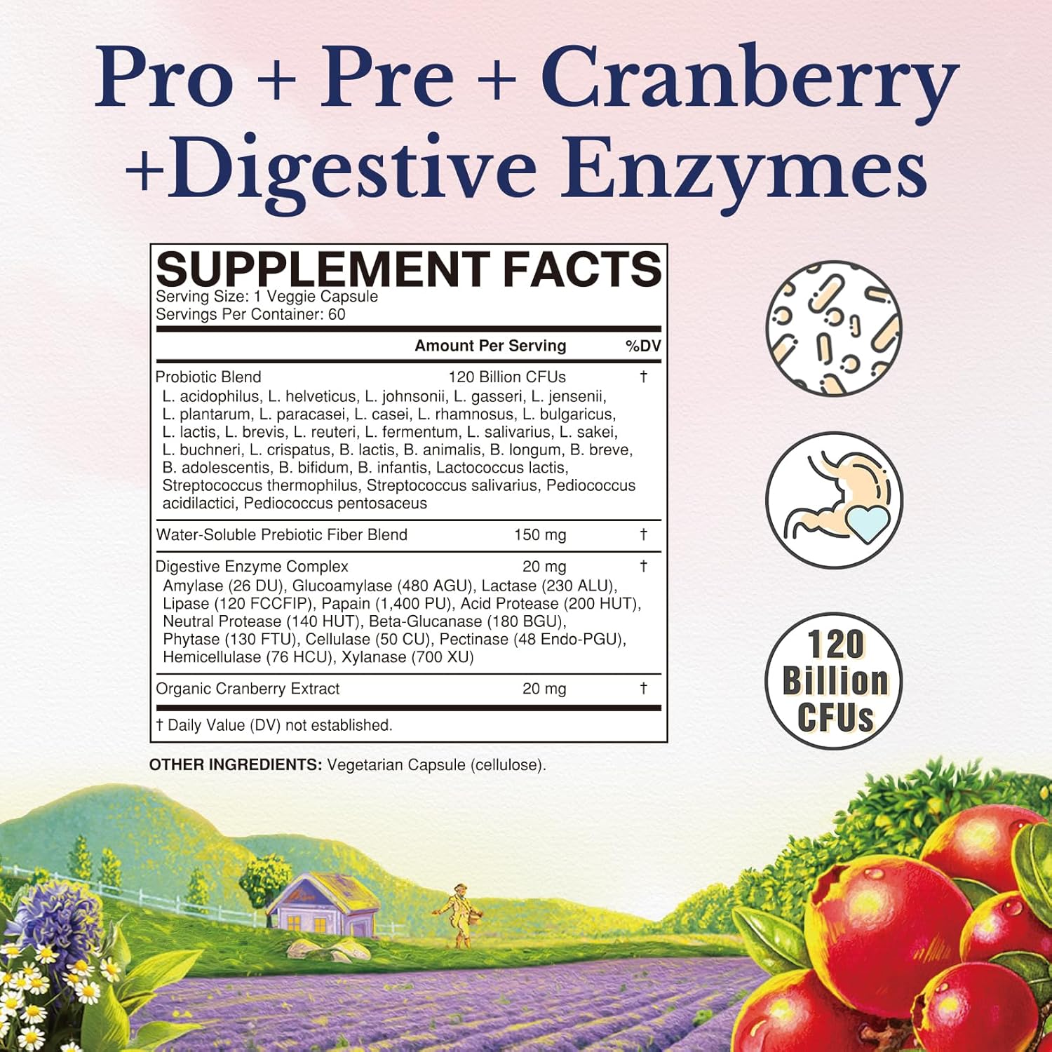 Vitalitown Women's Probiotic Supplement 120 Billion CFUs, 30 Strains, with Prebiotics, Digestive Enzymes, Cranberry - Gut & Vaginal Health Support - Vegan Capsules - 60 Count