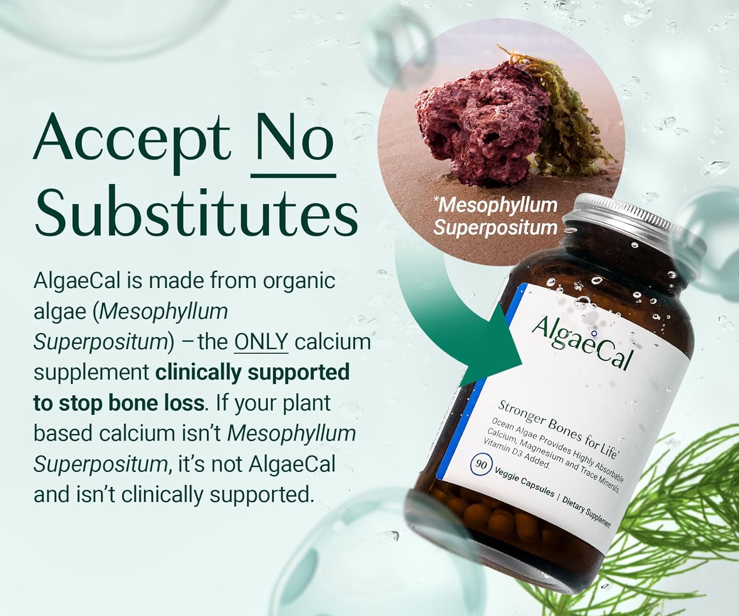 Vitality Bundle: AlgaeCal Plant-Based Calcium with Vitamin D3 - Stop Bone Loss, Support Immune & Whole Body Wellness