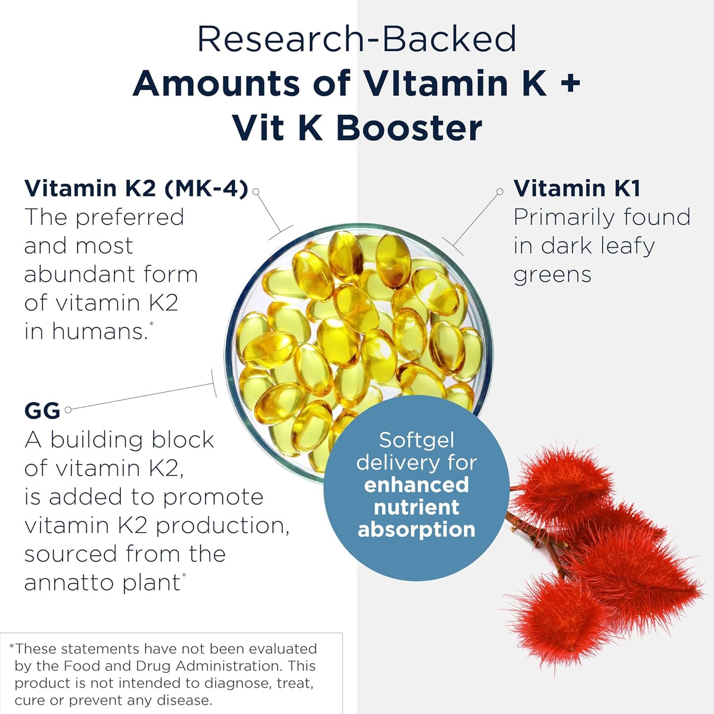Vitamin K1 and K2 Supplement for Bone Strength, Healthy Aging, and Arterial Health - 60 Softgels with GG for Vitamin K2 MK4 Production by Designs for Health