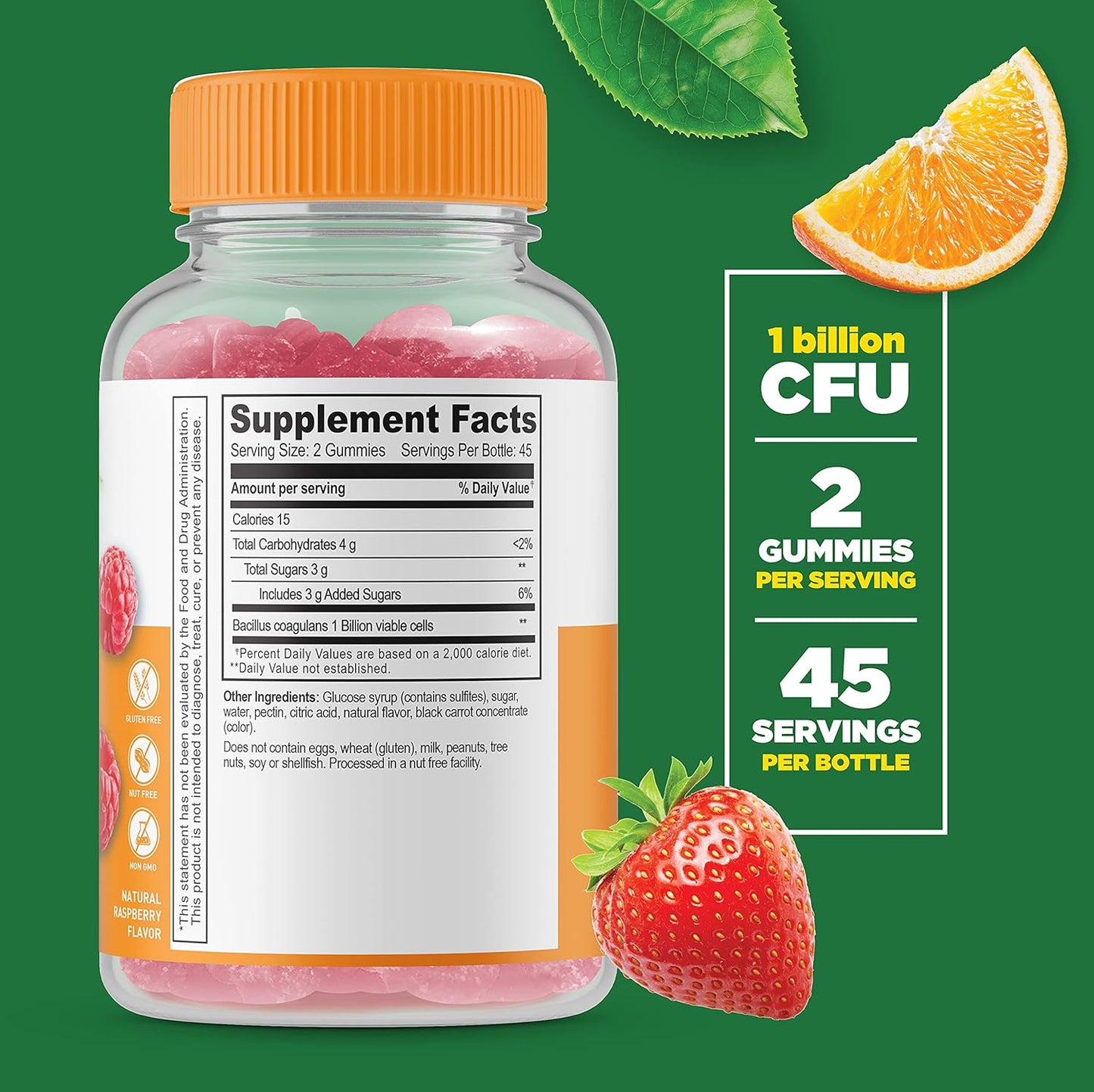 VitaWorks Lifeable Probiotic Gummies Bundle with Calcium Magnesium - 2 Billion CFU, Vitamin Supplement, Gluten-Free, GMO-Free Chewables
