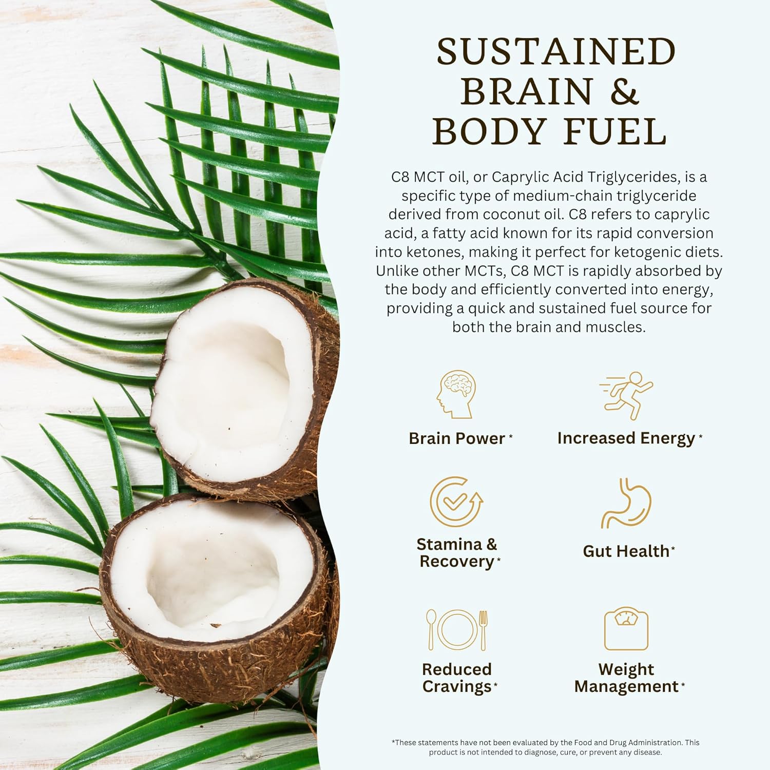 VTC VitaTradingCo. 100% Pure C8 MCT Oil - Clean Energy Source, Sustainably Sourced - Non-GMO, Paleo, Keto - 128oz, 256 Servings