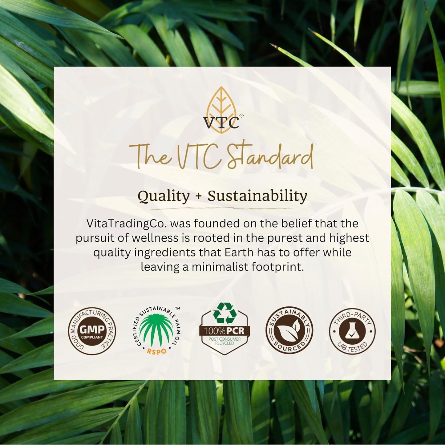 VTC VitaTradingCo. 100% Pure C8 MCT Oil - Clean Energy Source, Sustainably Sourced - Non-GMO, Paleo, Keto - 128oz, 256 Servings