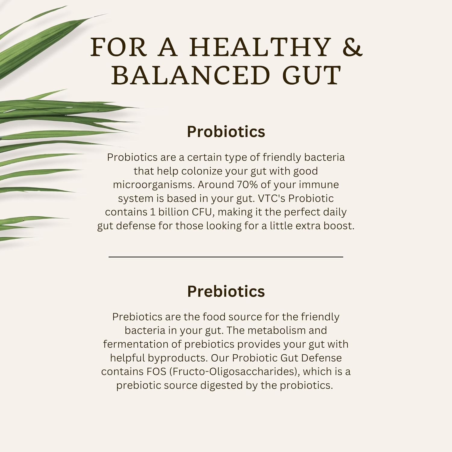 VTC VitaTradingCo. Probiotic Gut Defense Capsules - 1 Billion CFU with Prebiotics for Digestive Health - 90 Count