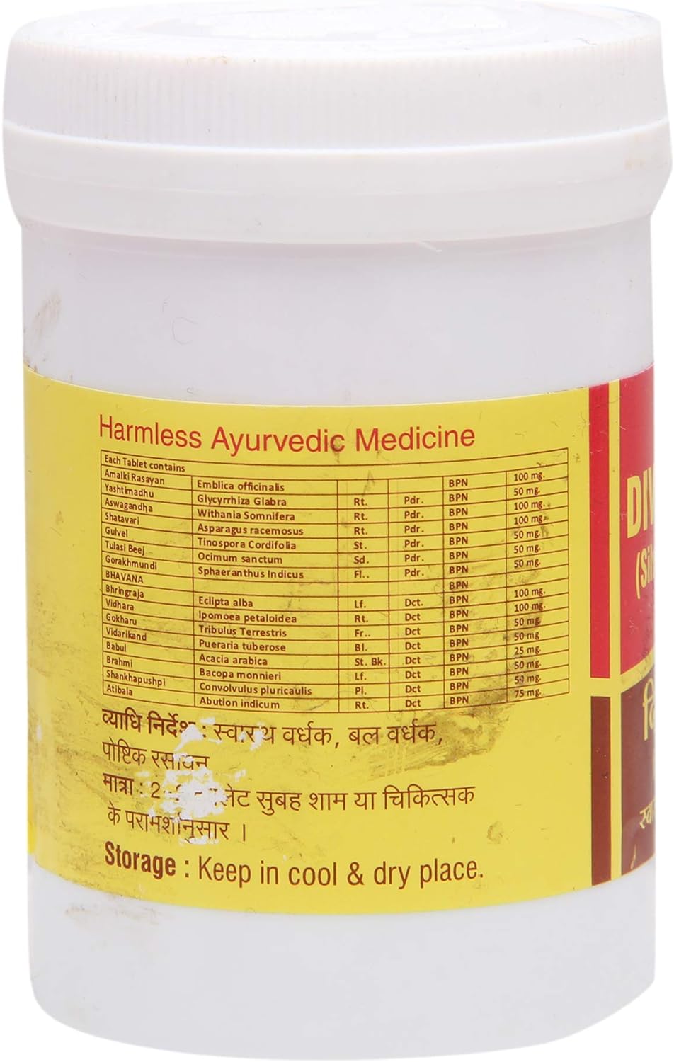 Vyas Divya Rasayan Tablets - Pack of 100 - Ayurvedic Supplement for Health and Wellness