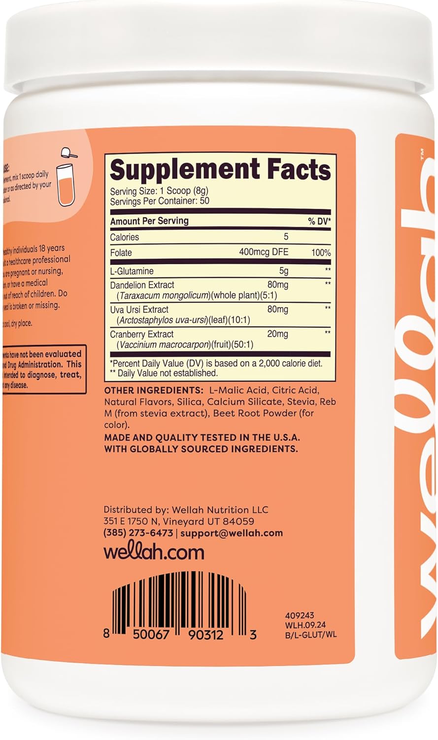 Watermelon Lime L-Glutamine Powder - 50 Servings, 5g Per Serving, Sweetened with Stevia - Wellah Brand