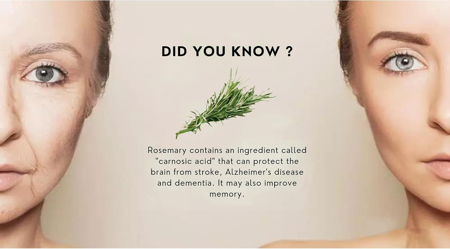 Waybest Ebat NRF2 Activator Antioxidant Supplements - 60 Capsules - Reduce Oxidative Stress - Herbal Phytonutrients - Immune, Skin, DNA Support