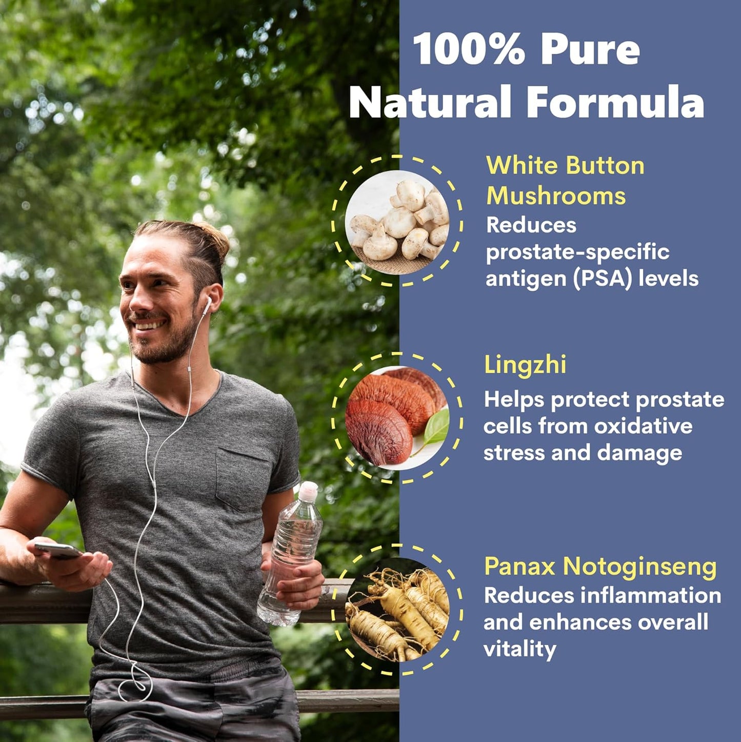 WBM REx White Button Mushrooms Ginseng Immune Support Supplement - Prostate & Breast Health (60 Capsules)