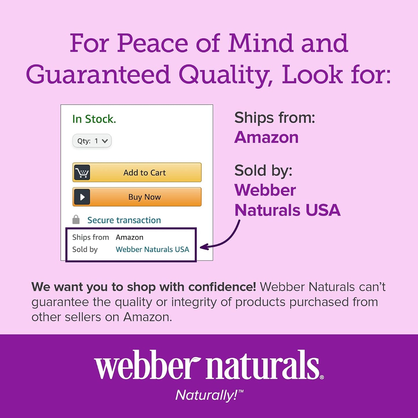 Webber Naturals Vitamin B12 5000 mcg Fast-Melting Tablets for Energy & Metabolism, 60 ct Vegan Gluten-Free