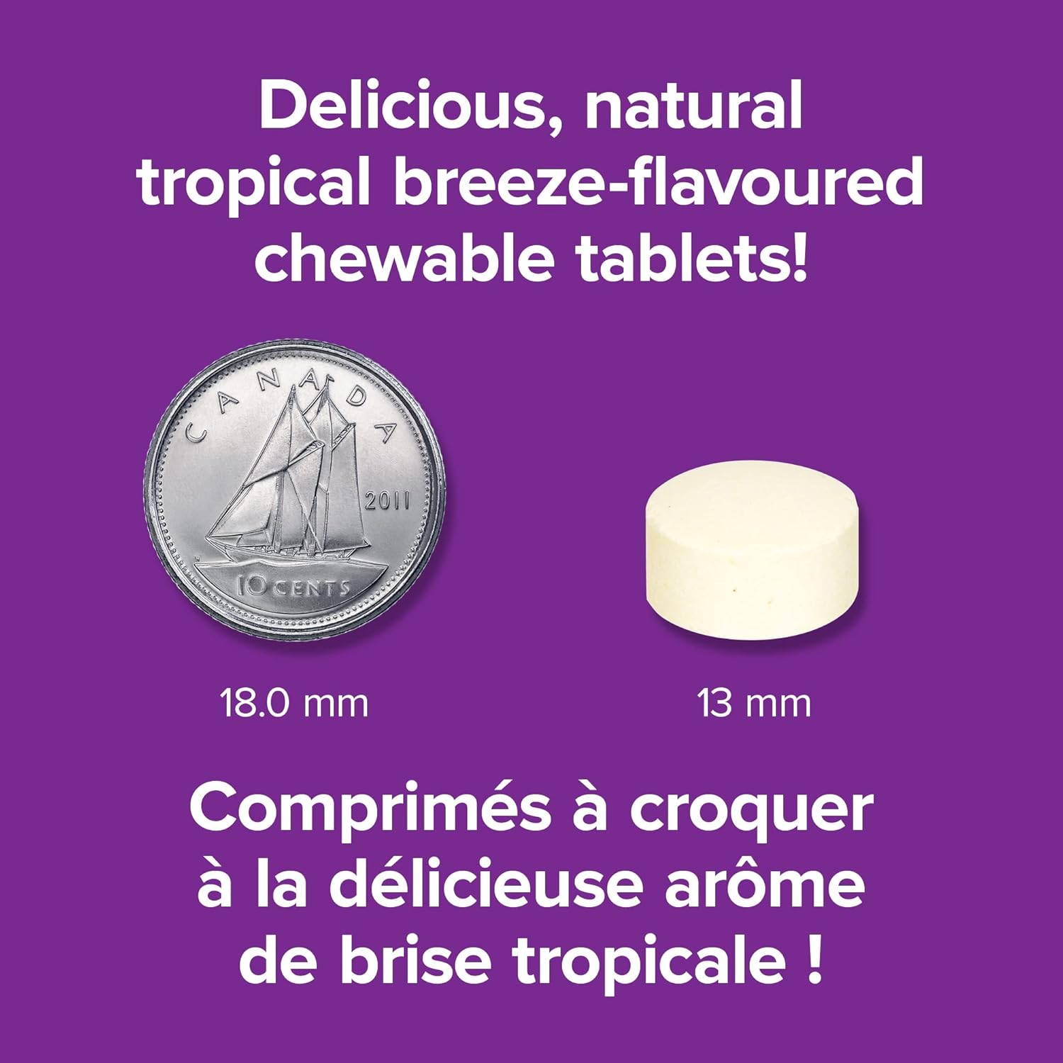 Webber Naturals Vitamin C Chewable Tablets - Tropical Breeze Flavor, 500mg Per Tablet for Immune & Antioxidant Support, Non GMO, Dairy & Gluten Free