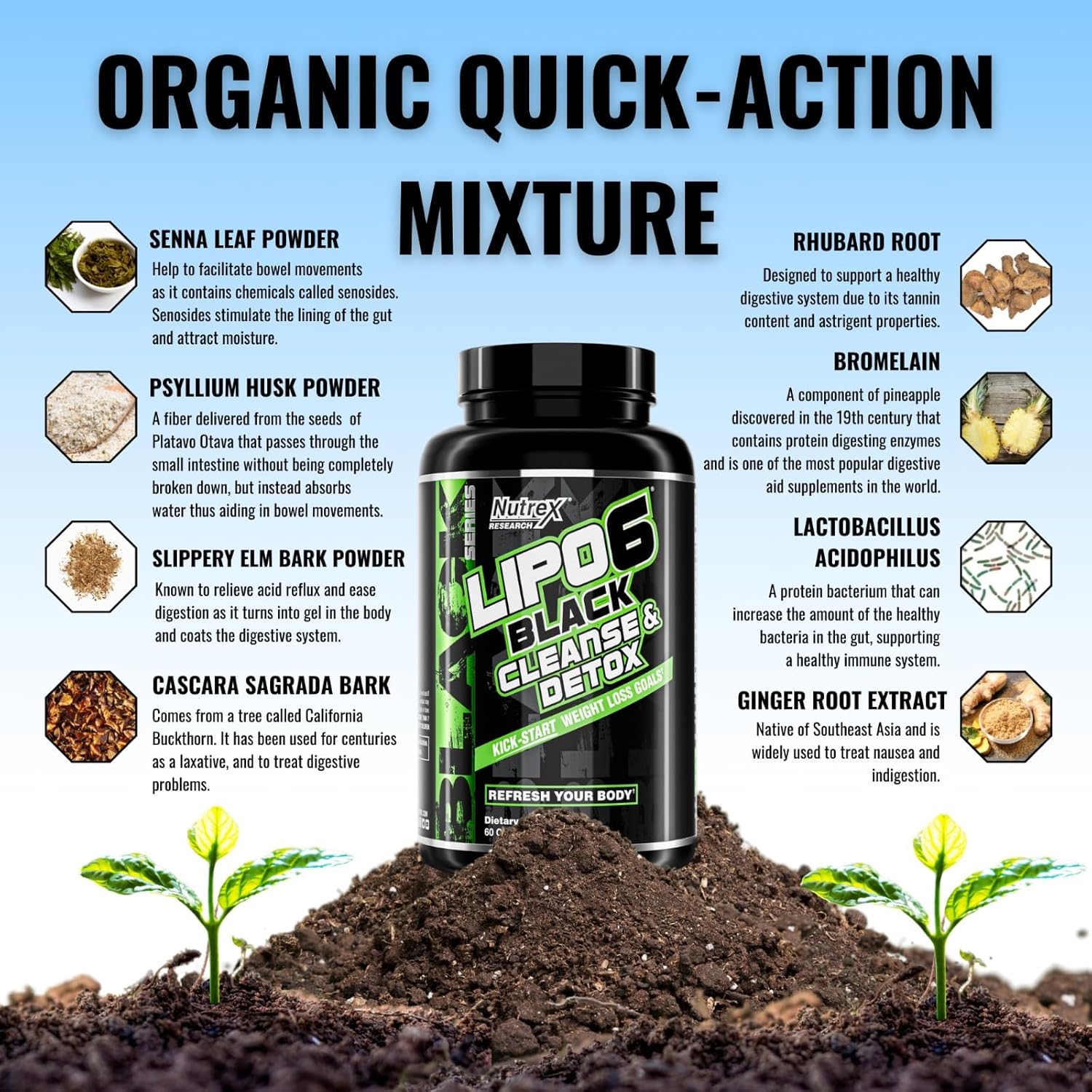 Weight Loss Bundle: Nutrex Research Lipo-6 Cleanse & Detox + Hardcore Supplement for Metabolism Support