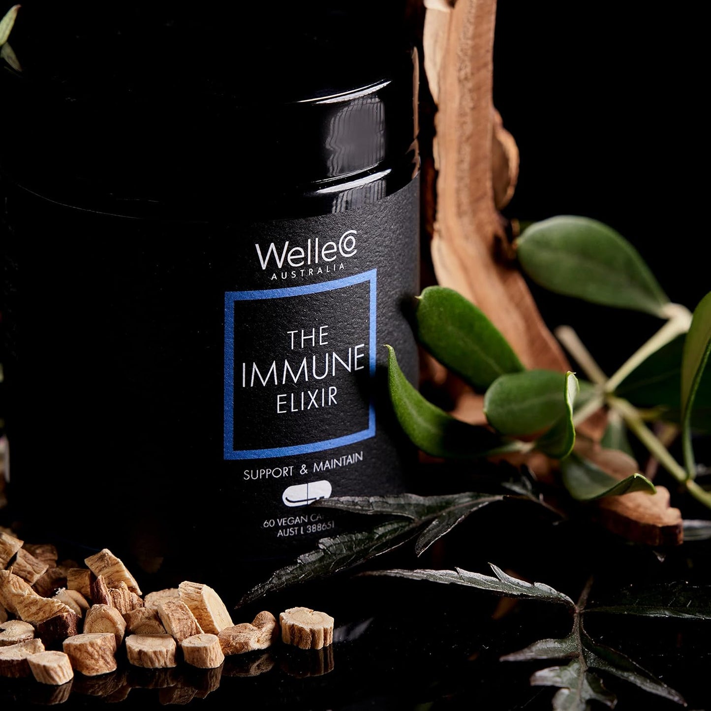 WelleCo Immune Support Supplement with Vitamin C, Zinc, Elderberry, and Reishi Mushroom - 60 Capsules, Gluten Free & Vegan