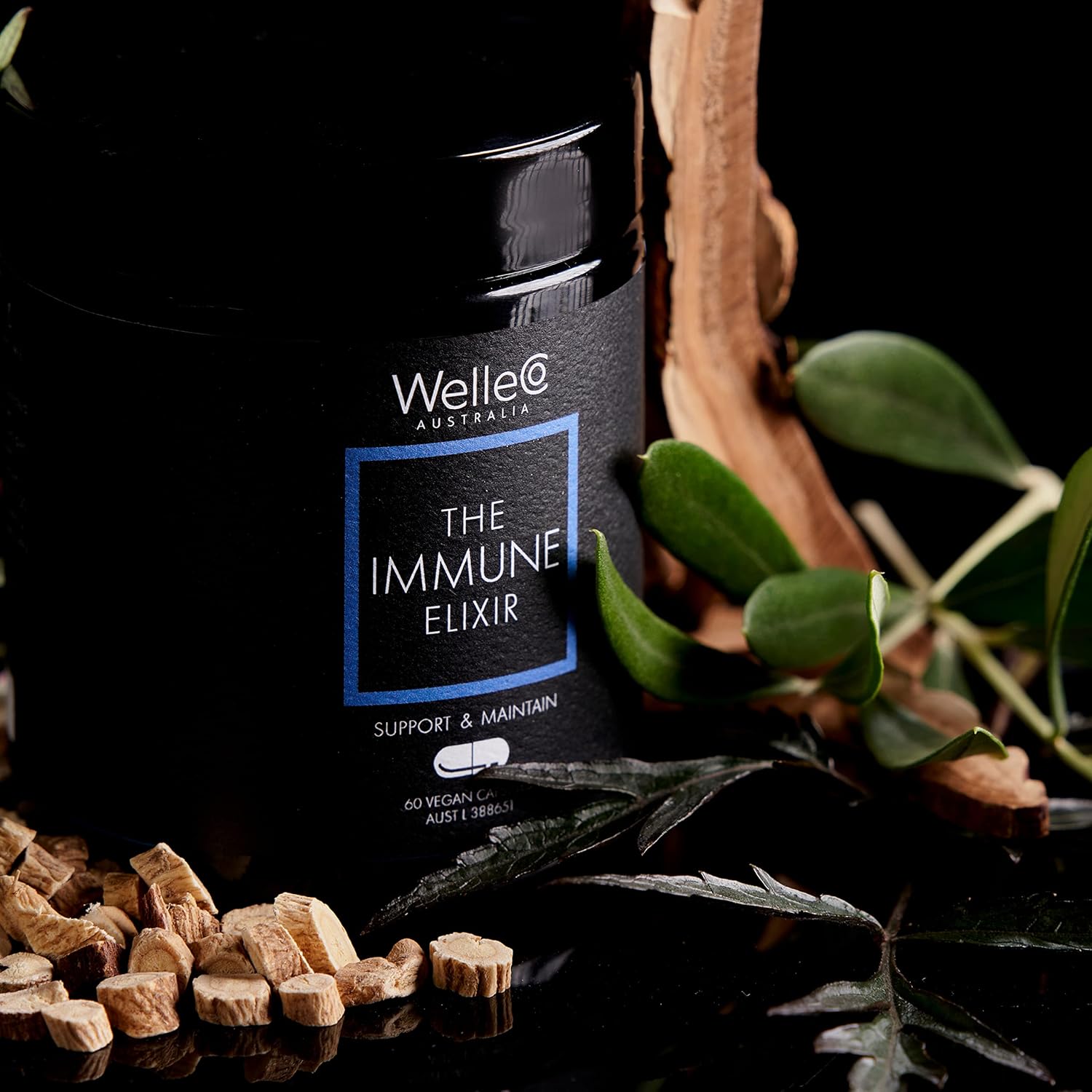 WelleCo Immune Support Supplement with Vitamin C, Zinc, Elderberry, and Reishi Mushroom - 60 Capsules, Gluten Free & Vegan