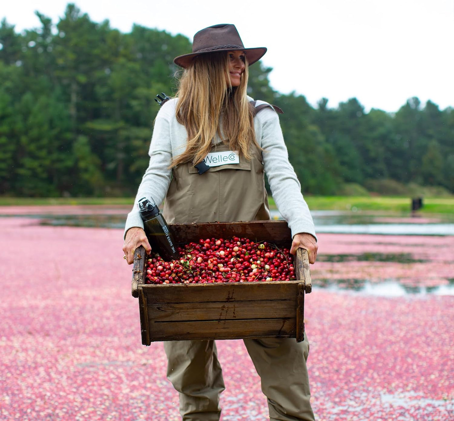 WelleCo Mixed Berry Super Elixir Daily Greens Powder: Probiotic Vegan Drink for Gut Health, Energy, Immunity, Skin, Hair, Nails