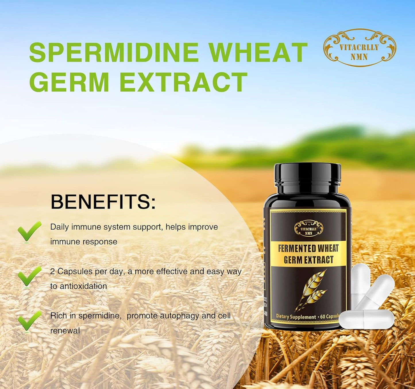 Wheat Germ Extract Capsules 1000mg with Higher Spermidine & Zinc for Antioxidant, Cell Renewal - 240 Capsules