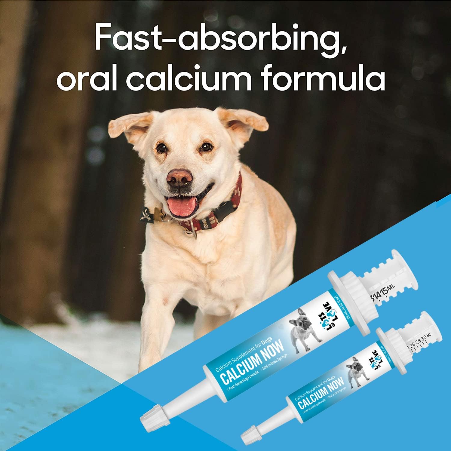 Whelping Dog Calcium Supplement (15 ml) - Breeders Approved Oral Calcium for Dogs - High-Quality Calcium for Canines from Lots of Love Pet Products