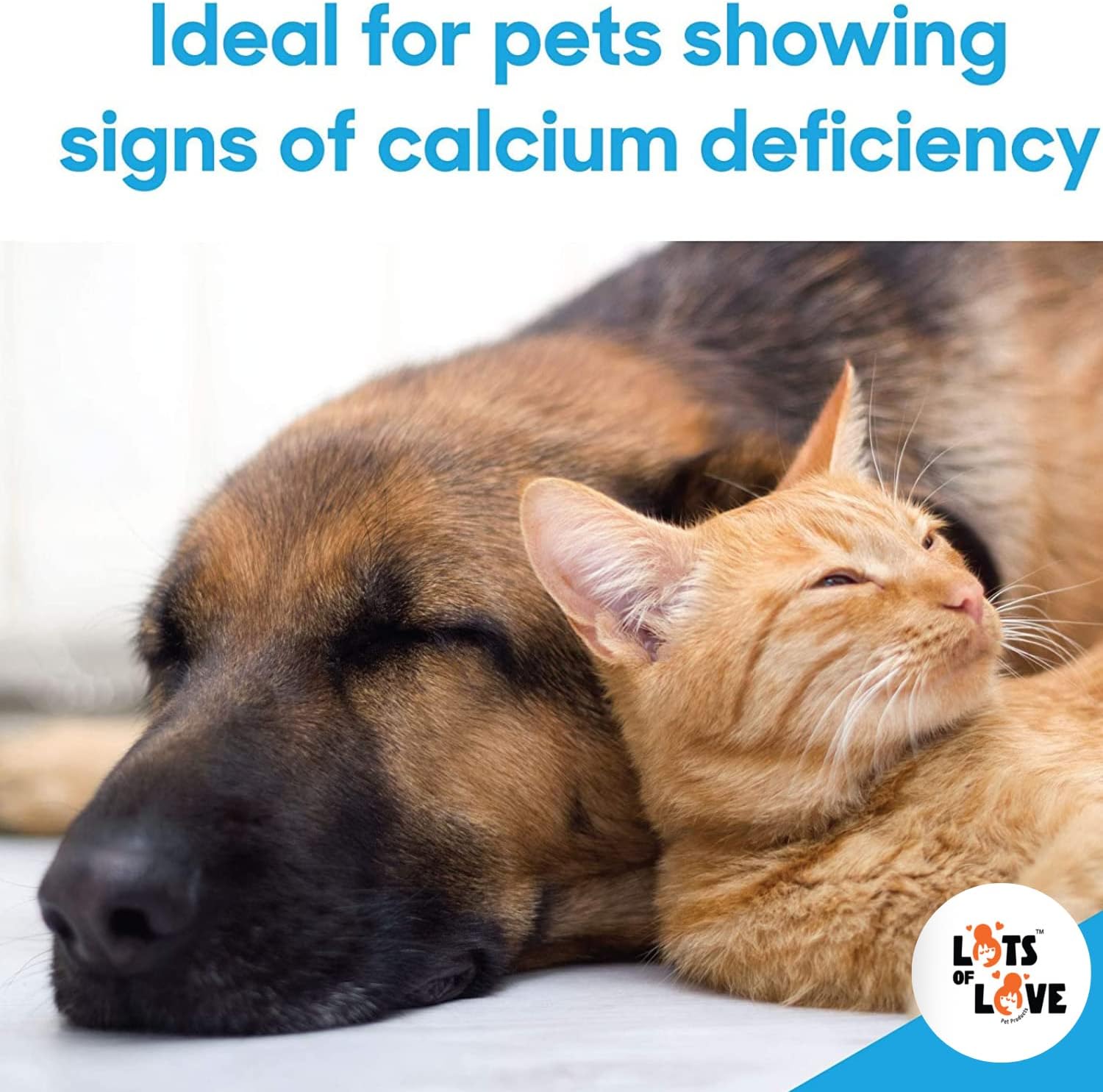 Whelping Dog Calcium Supplement (15 ml) - Breeders Approved Oral Calcium for Dogs - High-Quality Calcium for Canines from Lots of Love Pet Products