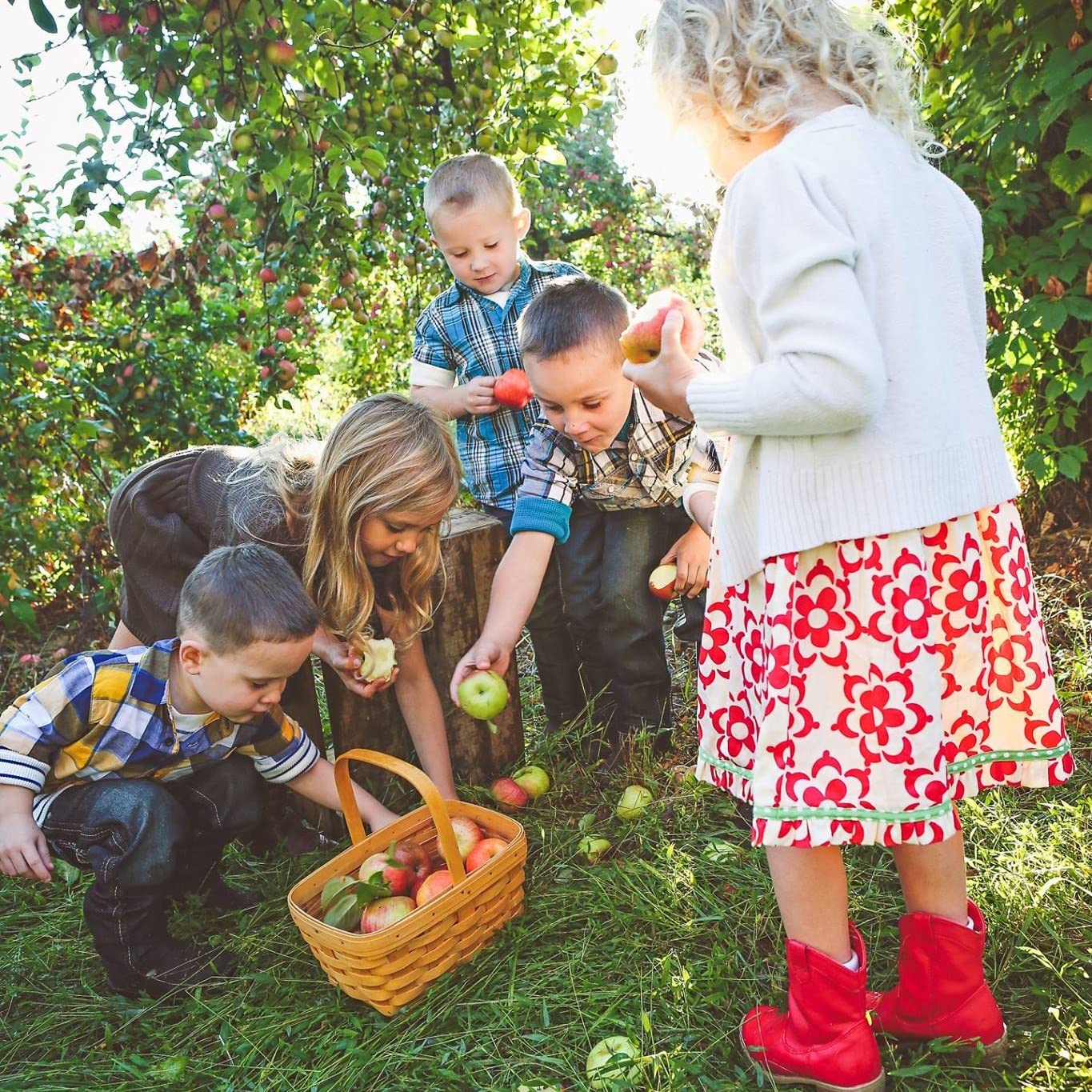 White House Detox Apple Cider Vinegar Shots, Raw Unfiltered, On the Go - Pack of 6