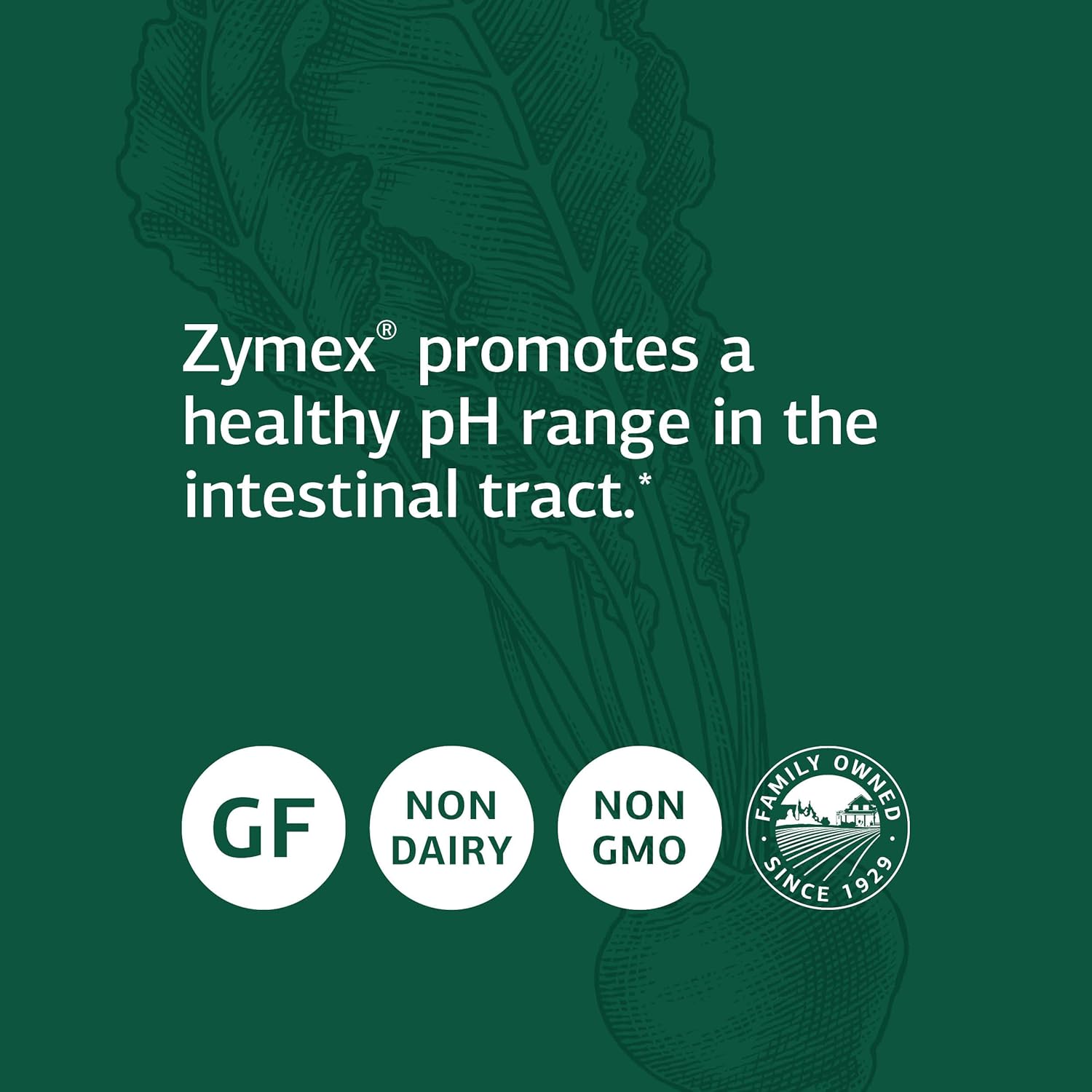 Whole Food Digestion Support: Standard Process Zymex Capsules with Rice Bran, Spanish Moss, and Beet Root - 150 Capsules