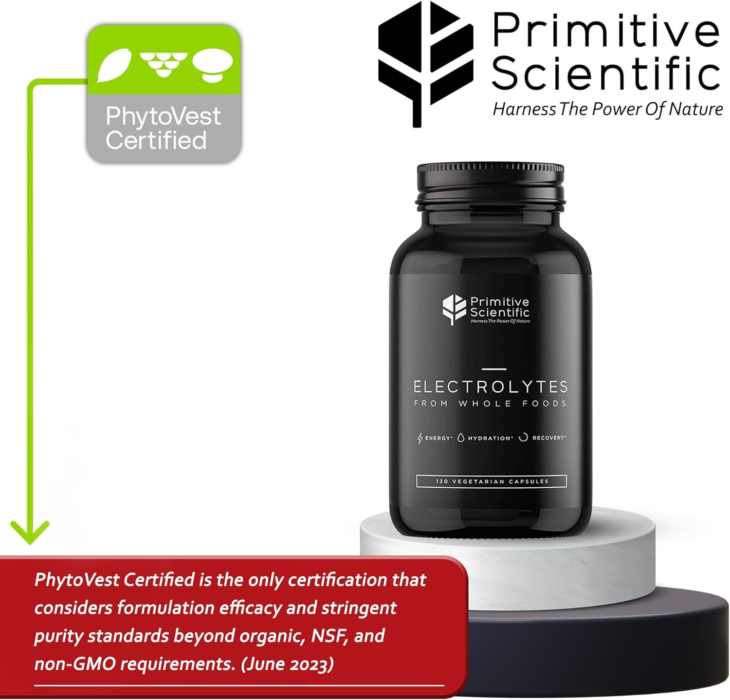 Whole Food Electrolyte Tablets with Magnesium, Zinc, Calcium, Potassium - Energy, Hydration, Rejuvenation - 120ct