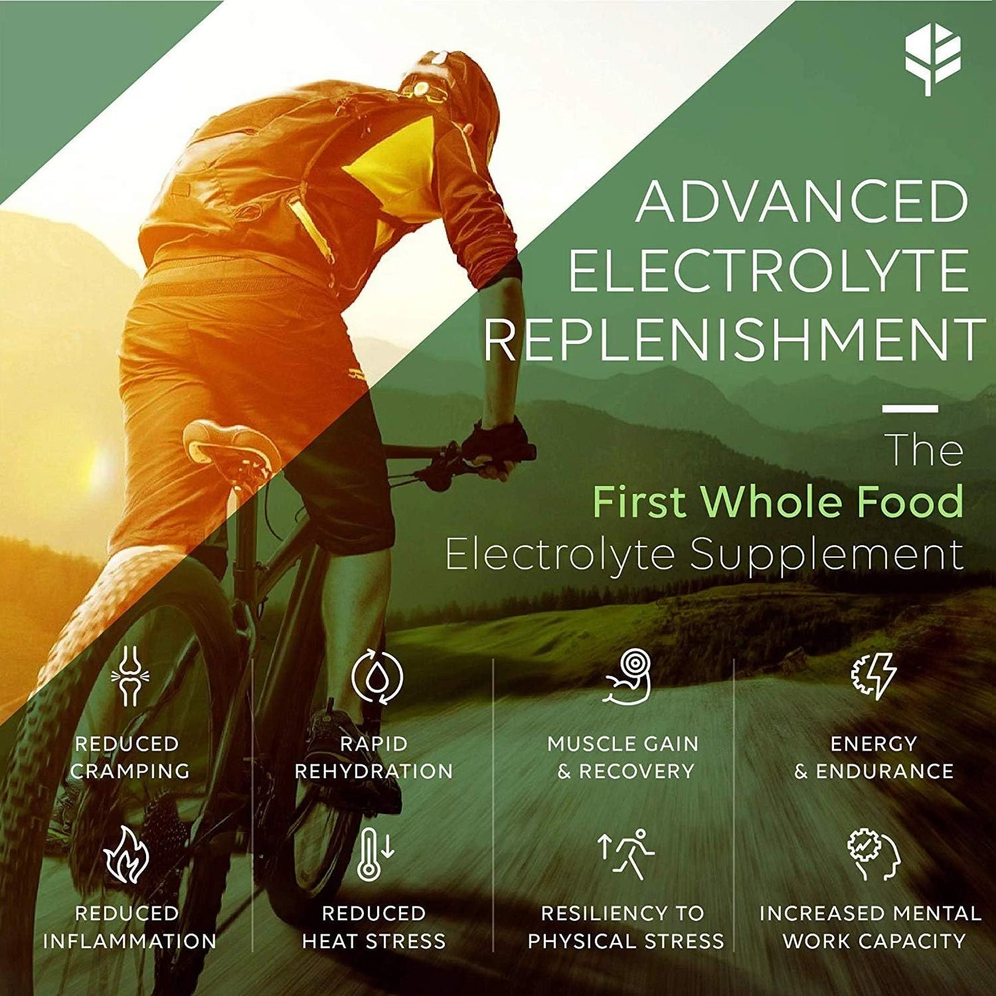 Whole Food Electrolyte Tablets with Magnesium, Zinc, Calcium, Potassium - Energy, Hydration, Rejuvenation - 120ct