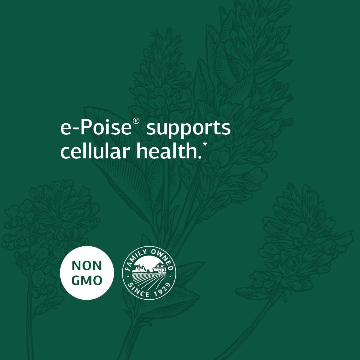 Whole Food Energy and Antioxidant Support Supplement with Iron - Standard Process Catalyn Capsules - Riboflavin, Vitamin B6, Thiamine, Wheat Germ, Vitamin A, Flaxseed Oil, Calcium - 150 Count