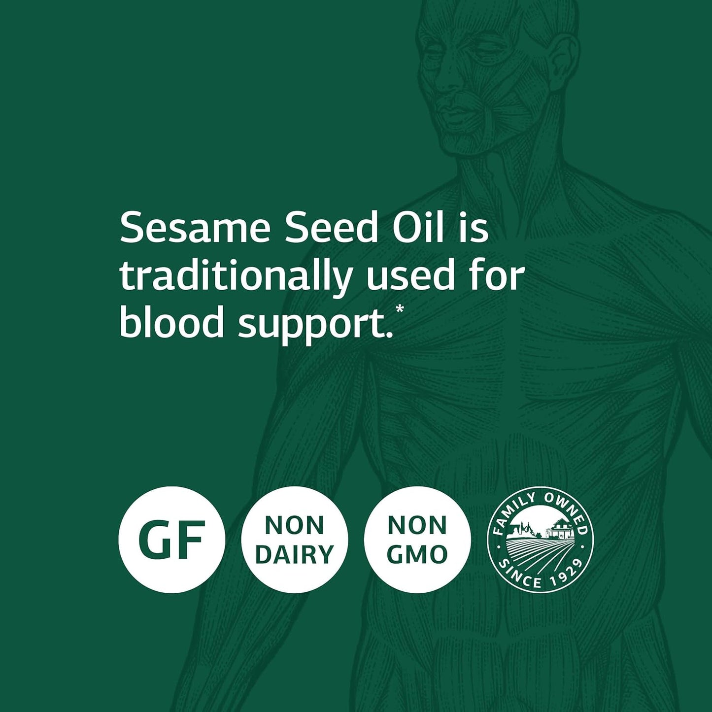 Whole Food Sesame Seed Oil Softgels for Liver and Immune Support - Antioxidant Supplement for Healthy Blood - 60 ct.