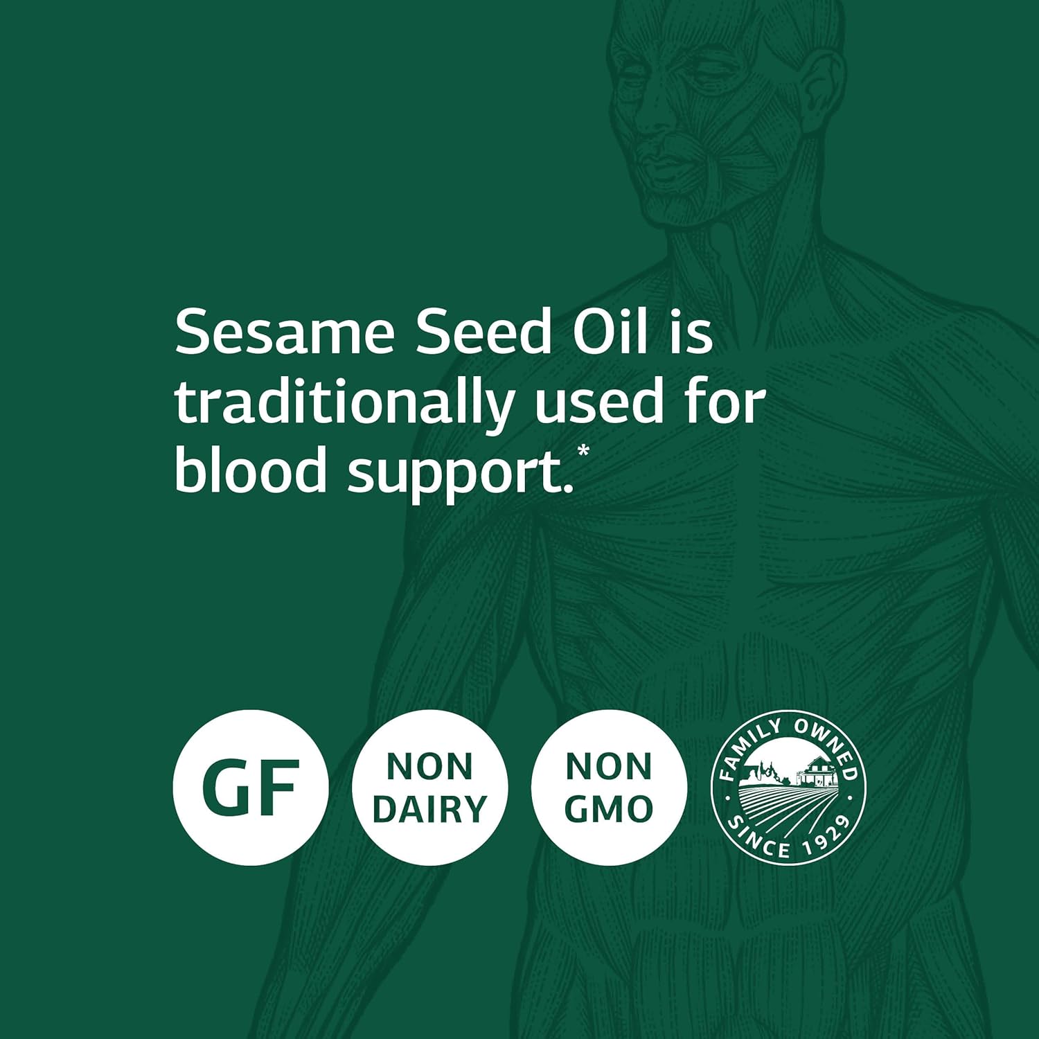 Whole Food Sesame Seed Oil Softgels for Liver and Immune Support - Antioxidant Supplement for Healthy Blood - 60 ct.