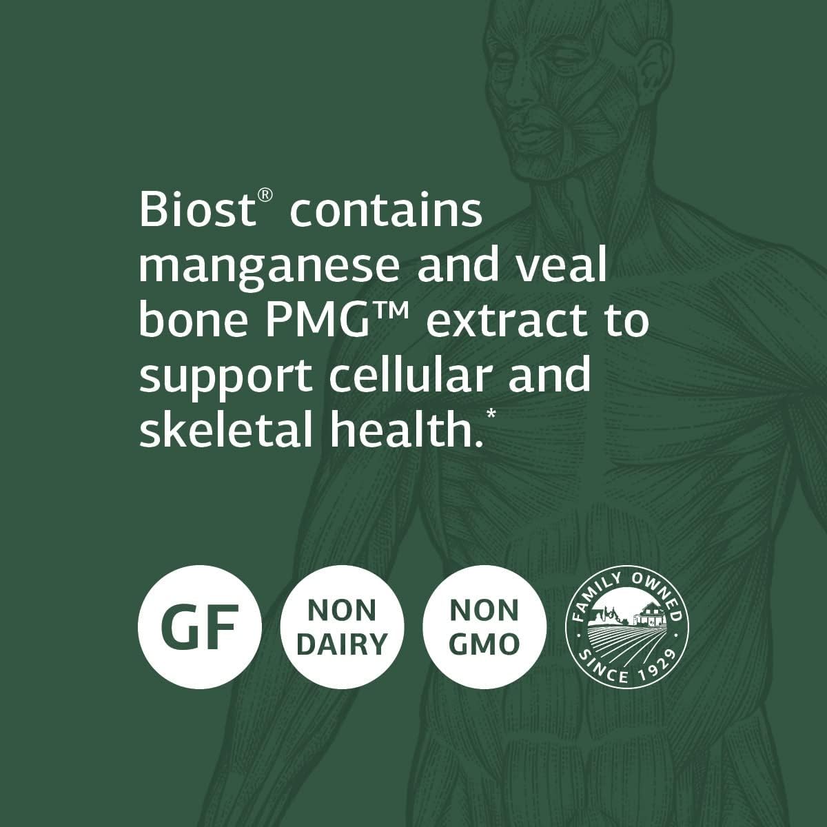 Whole Food Teeth and Bone Health Supplement - Standard Process Biost with Magnesium Citrate, Calcium Lactate, Manganese - 360 Tablets