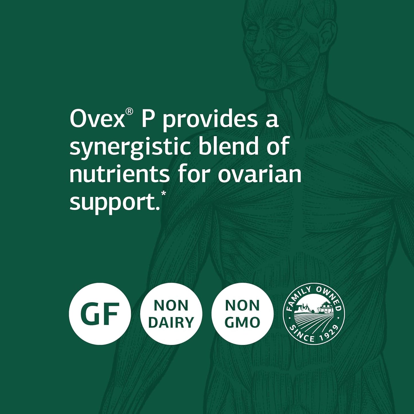 Whole Food Women's Health Supplement with Calcium, Magnesium, and Vitamin C - Gluten Free - 90 Tablets by Standard Process Inc.