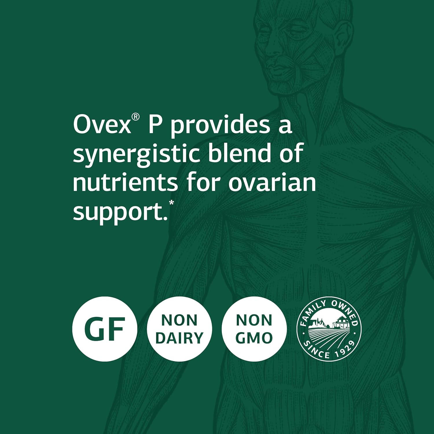 Whole Food Women's Health Supplement with Calcium, Magnesium, and Vitamin C - Gluten Free - 90 Tablets by Standard Process Inc.