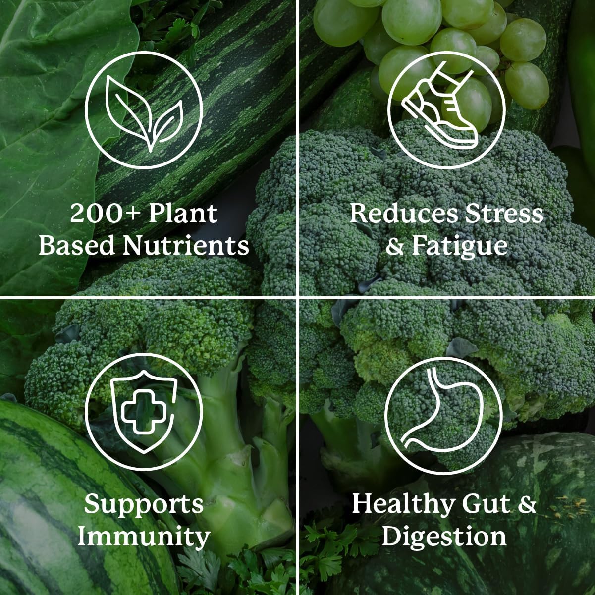 Wholefood Performance Greens in Convenient To-Go Packs from Nature's Sunshine Power Greens