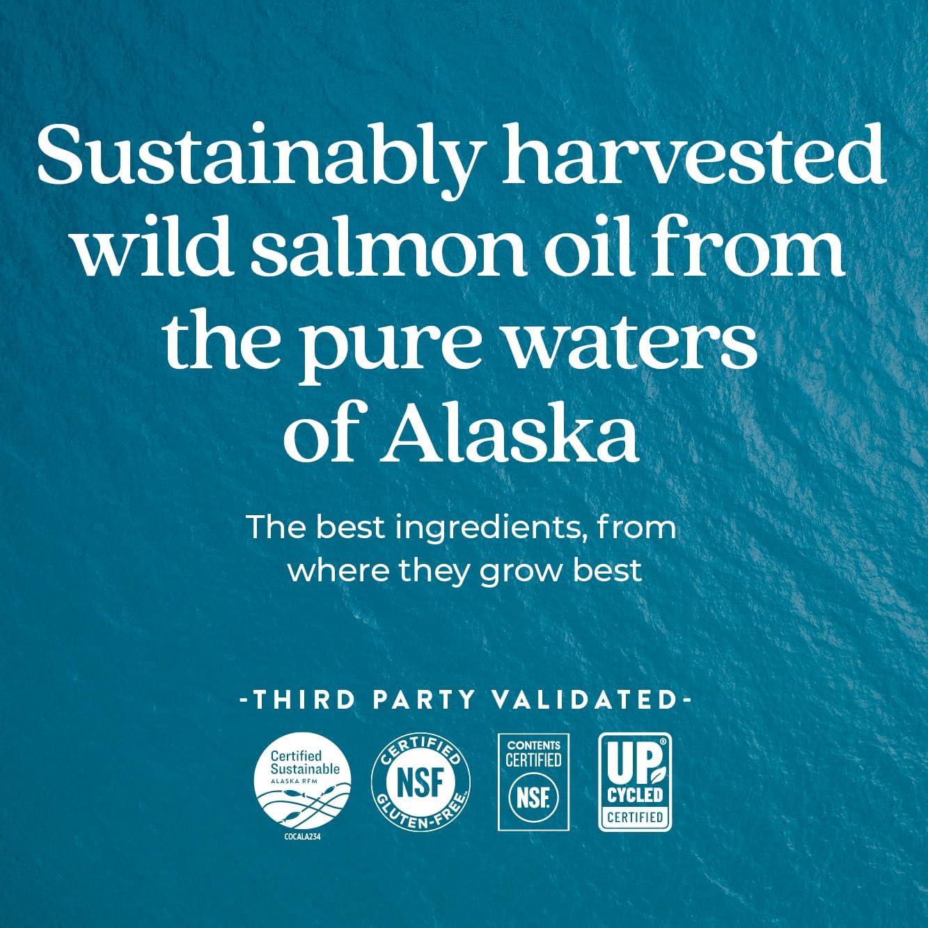 Wild Alaskan Salmon Oil Fish Oil Supplement with Omega-3, Vitamin D3, and Astaxanthin - Sustainably Caught - 120 Softgels, 1000mg