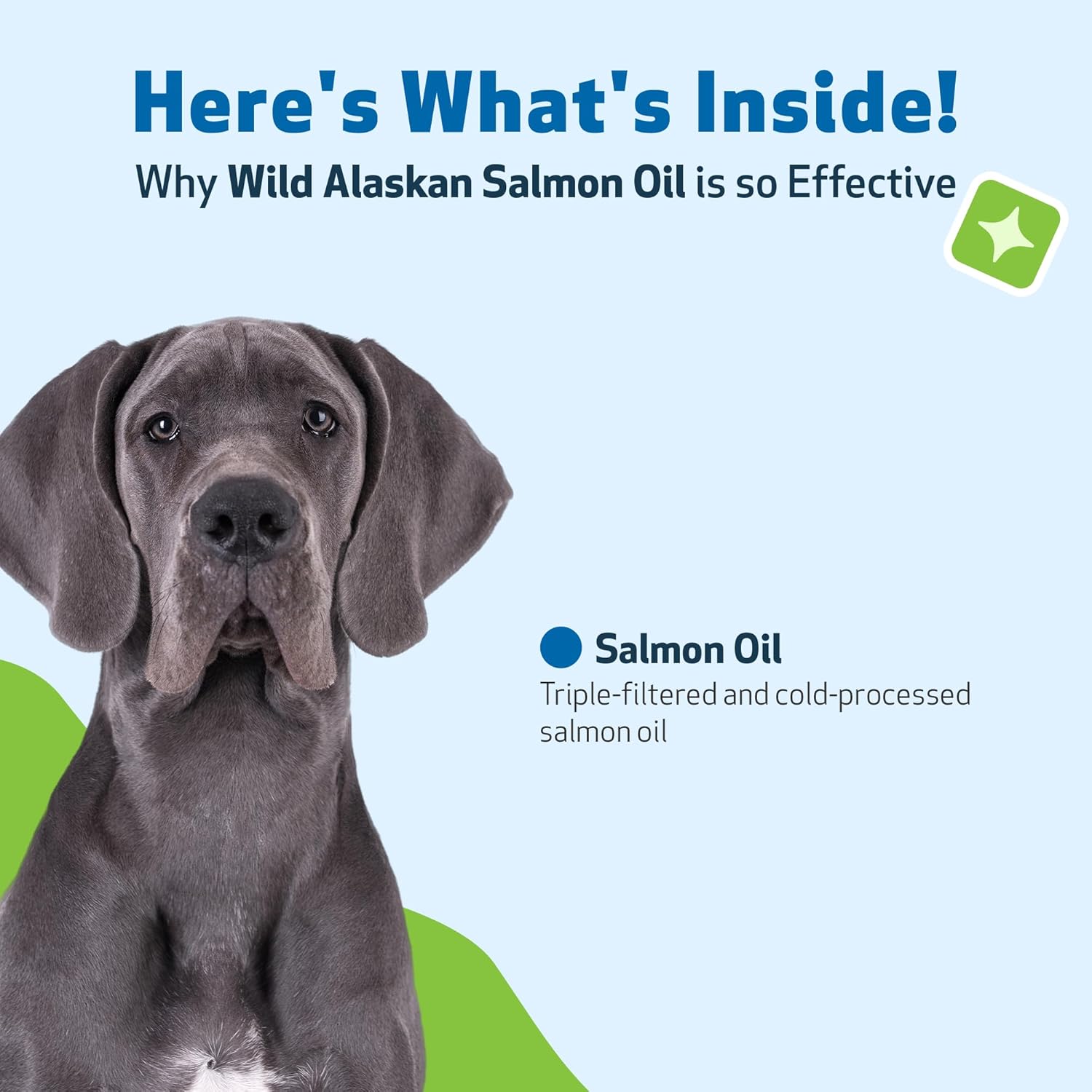Wild Alaskan Salmon Oil for Dogs - Cold-Processed Omega-3 Fish Oil for Healthy Coat, Skin, Joints - EPA, DHA - 16 fl oz