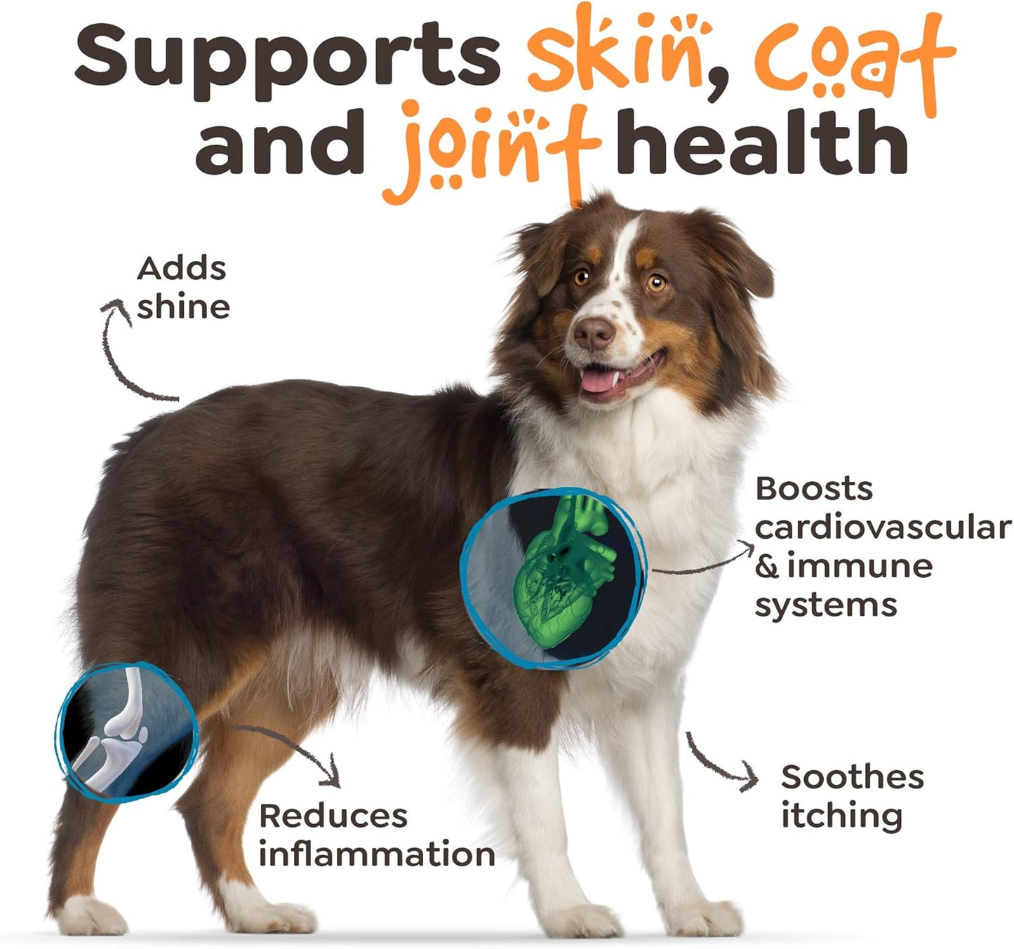 Wild Alaskan Salmon Oil for Dogs and Cats - Omega 3 Fish Oil Supplement for Skin, Coat, and Joint Health - Immune System Support - 300ml