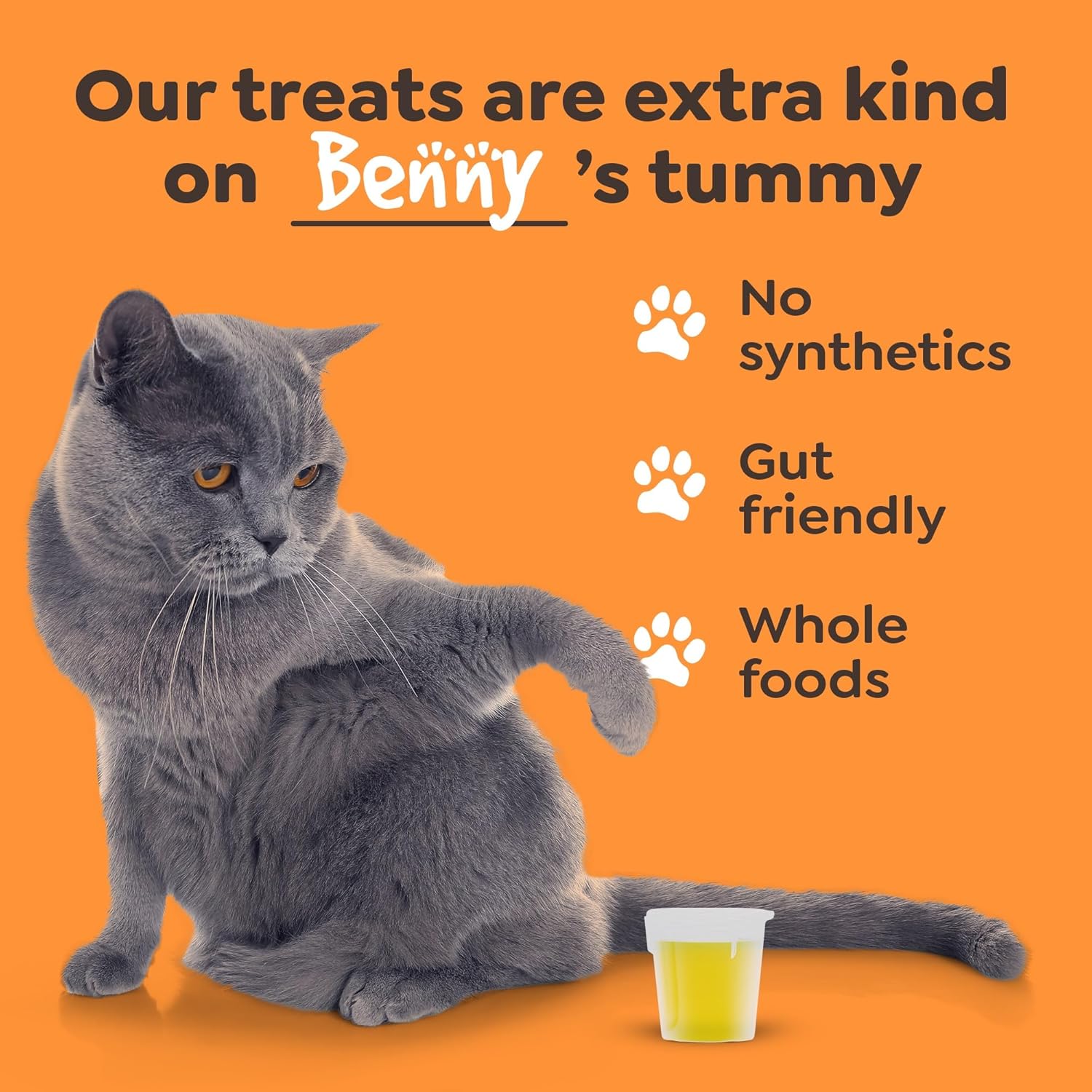 Wild Alaskan Salmon Oil for Dogs and Cats - Omega 3 Fish Oil Supplement for Skin, Coat, and Joint Health - Immune System Support - 300ml