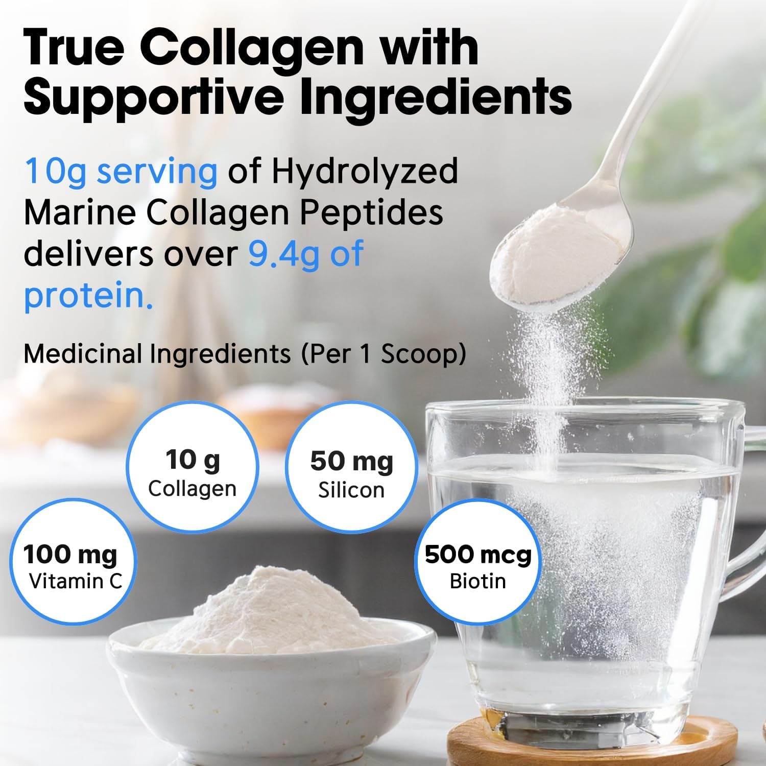 Wild-Caught Hydrolyzed Marine Collagen Peptides Powder from Nova Scotia - Supports Hair, Skin & Nails - Non-GMO - Gluten, Soy & Dairy Free - 303g