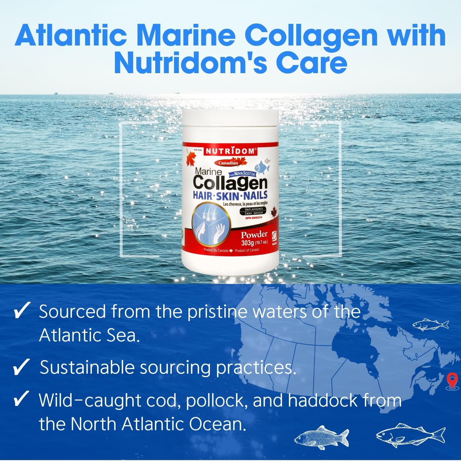 Wild-Caught Hydrolyzed Marine Collagen Peptides Powder from Nova Scotia - Supports Hair, Skin & Nails - Non-GMO - Gluten, Soy & Dairy Free - 303g
