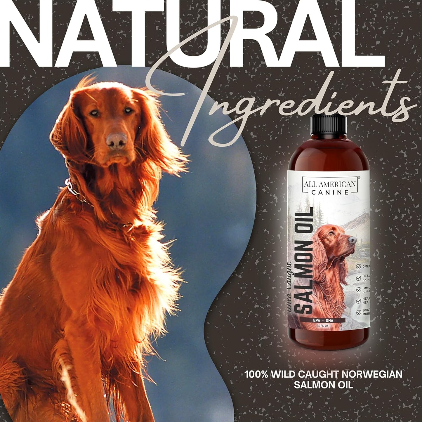 Wild Caught Salmon Oil for Dogs | Omega 3 Liquid Supplement for Healthy Skin, Coat, Joints, and Immune System - 16 fl oz