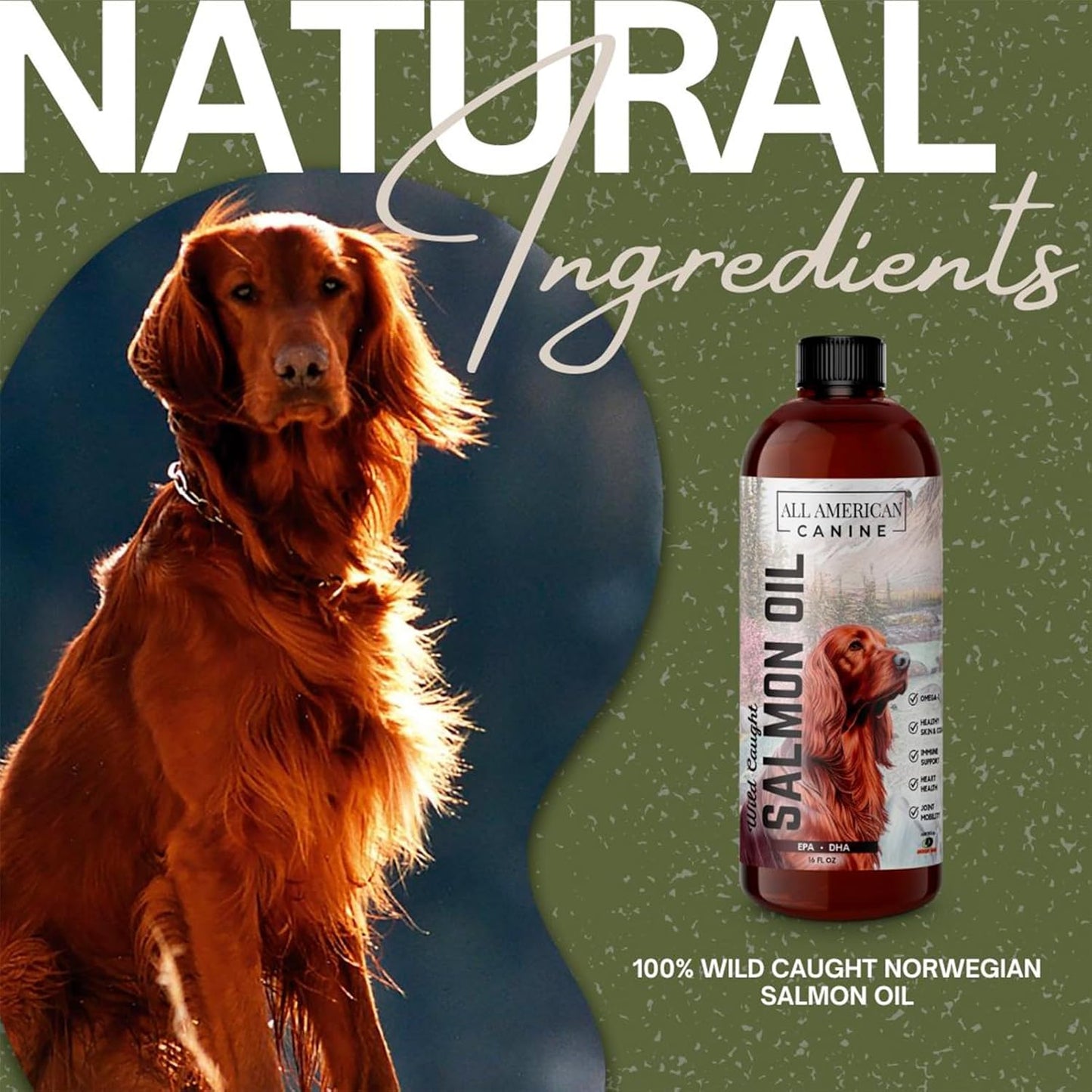 Wild Caught Salmon Oil for Dogs | Omega 3 Liquid Supplement for Healthy Skin, Coat, Joints, and Immune System - 16 fl oz